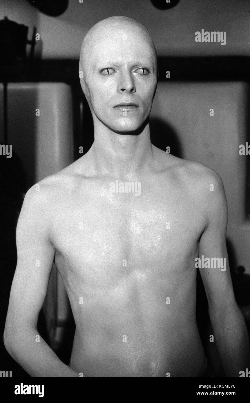 新品 DAVID BOWIE THE MAN WHO FELL TO EARTH Amazon.com: Man Who Fell to Earth [DVD] : David Bowie, Rip