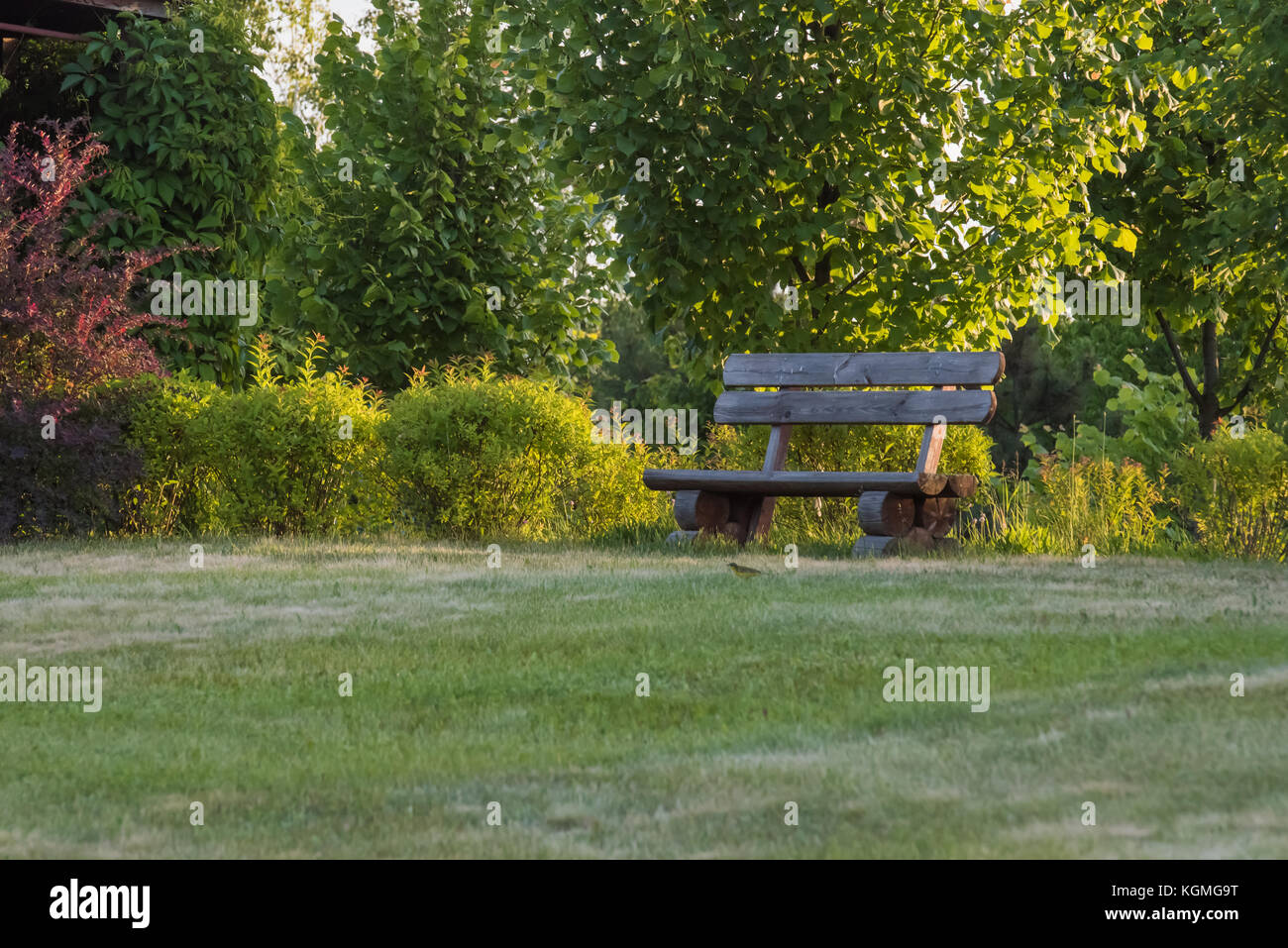 Old handmade wooden bench standing on lawn in the park or garden. Unfocused background. Stock Photo