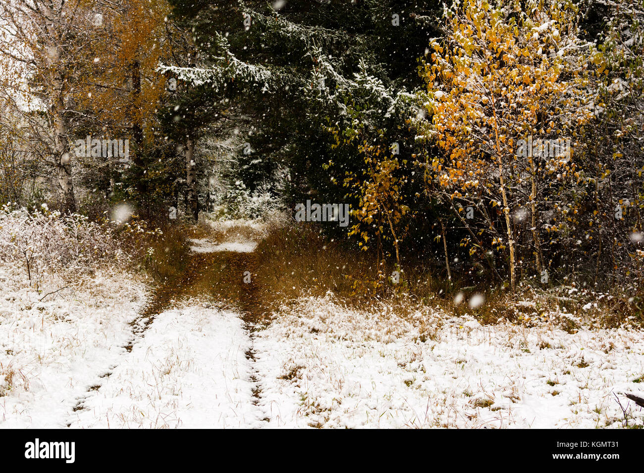 Drastic change hi-res stock photography and images - Alamy
