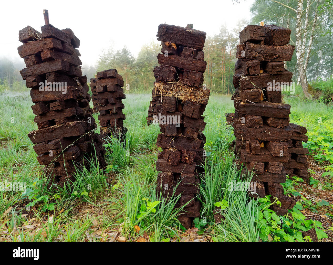 For drying puttied pierced peat bars Stock Photo