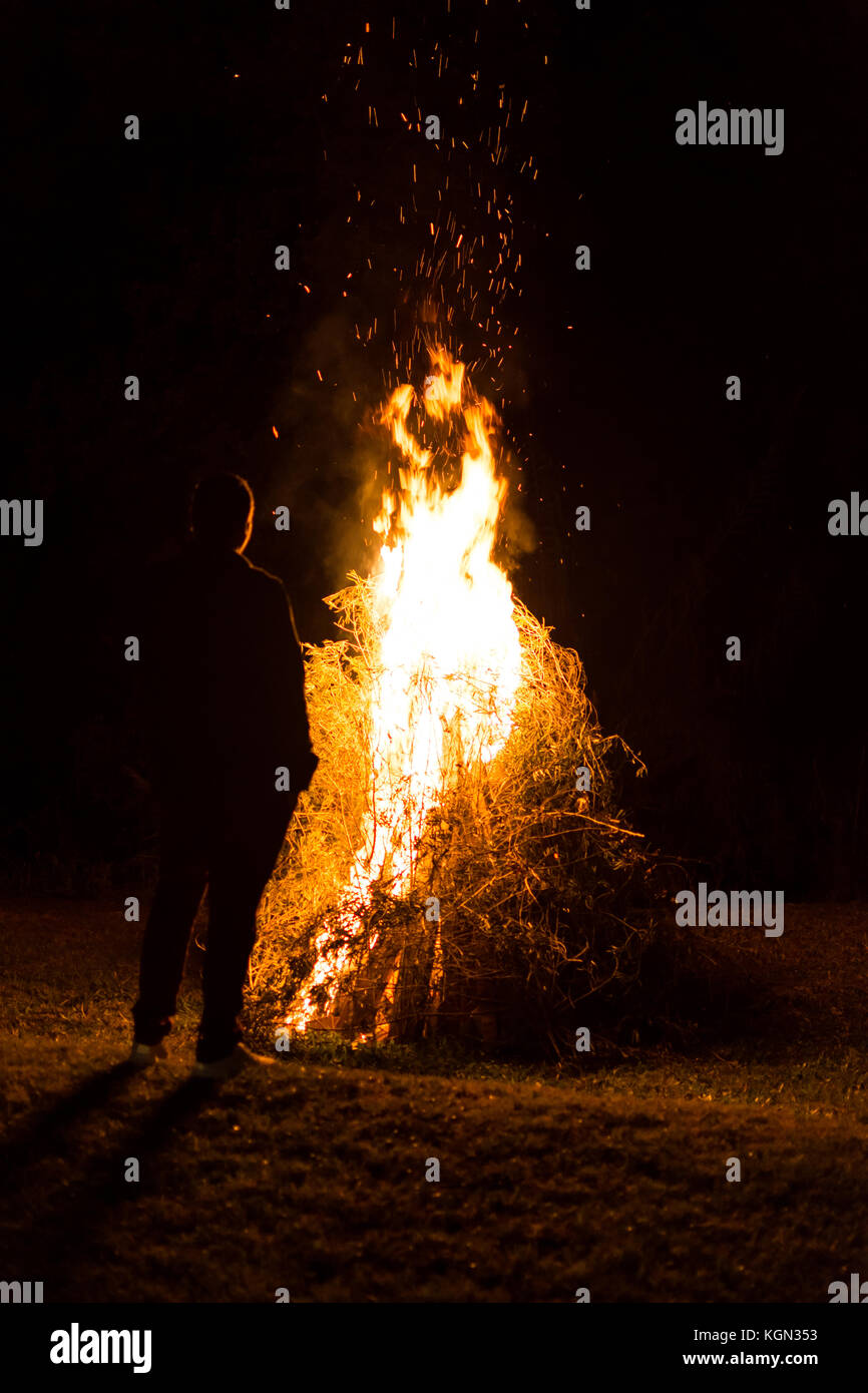 bonfire go outside STR 2枚 LAWANNATURAL bonfire go outside STR 2枚 LAWANNATURAL