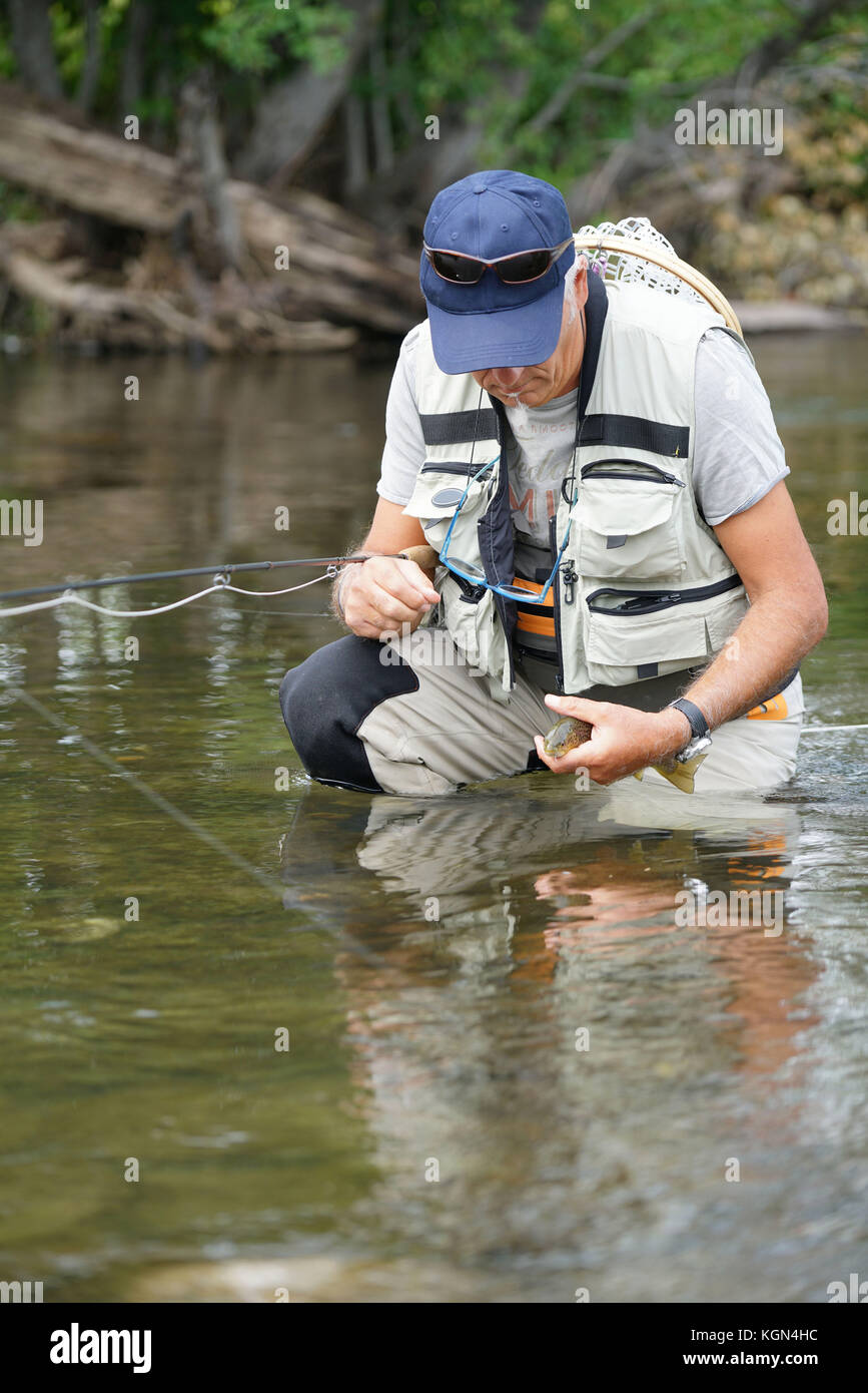 Fly fisherman trying to release brown trout in river Stock Photo - Alamy