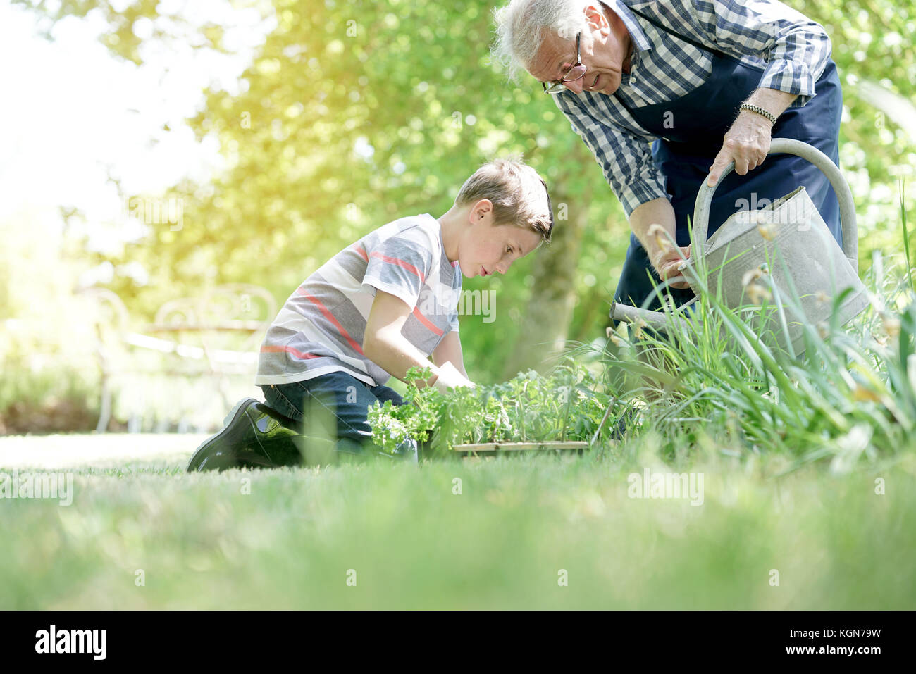 Grandfather with grandson gardening together Stock Photo