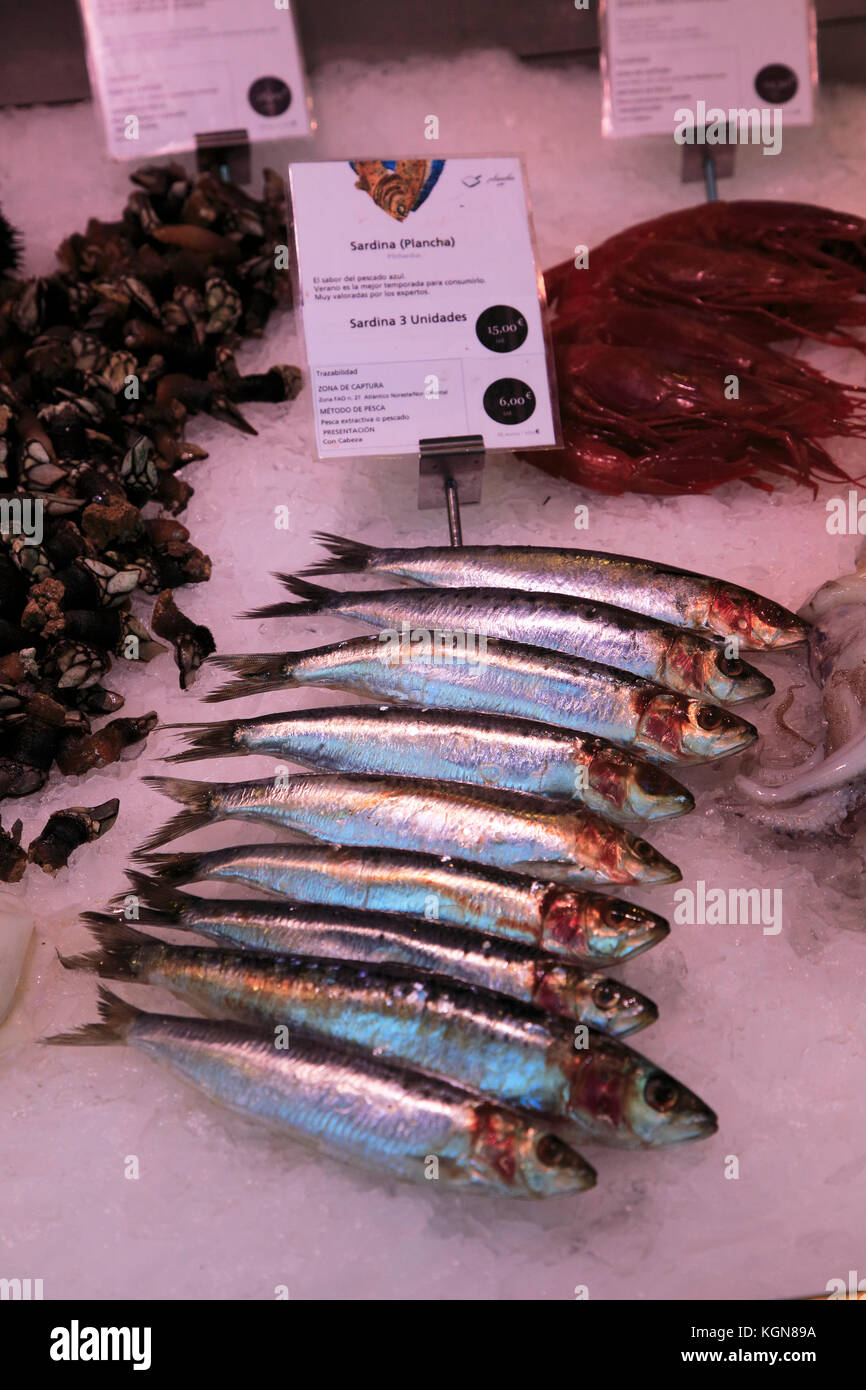 Sardines and monkfish hires stock photography and images Alamy