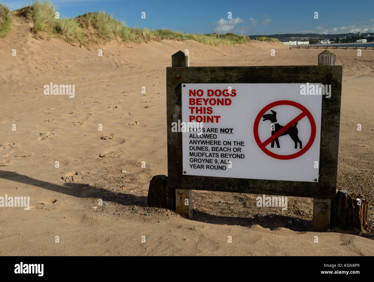 Sign banning dogs from part of the beach Stock Photo Alamy
