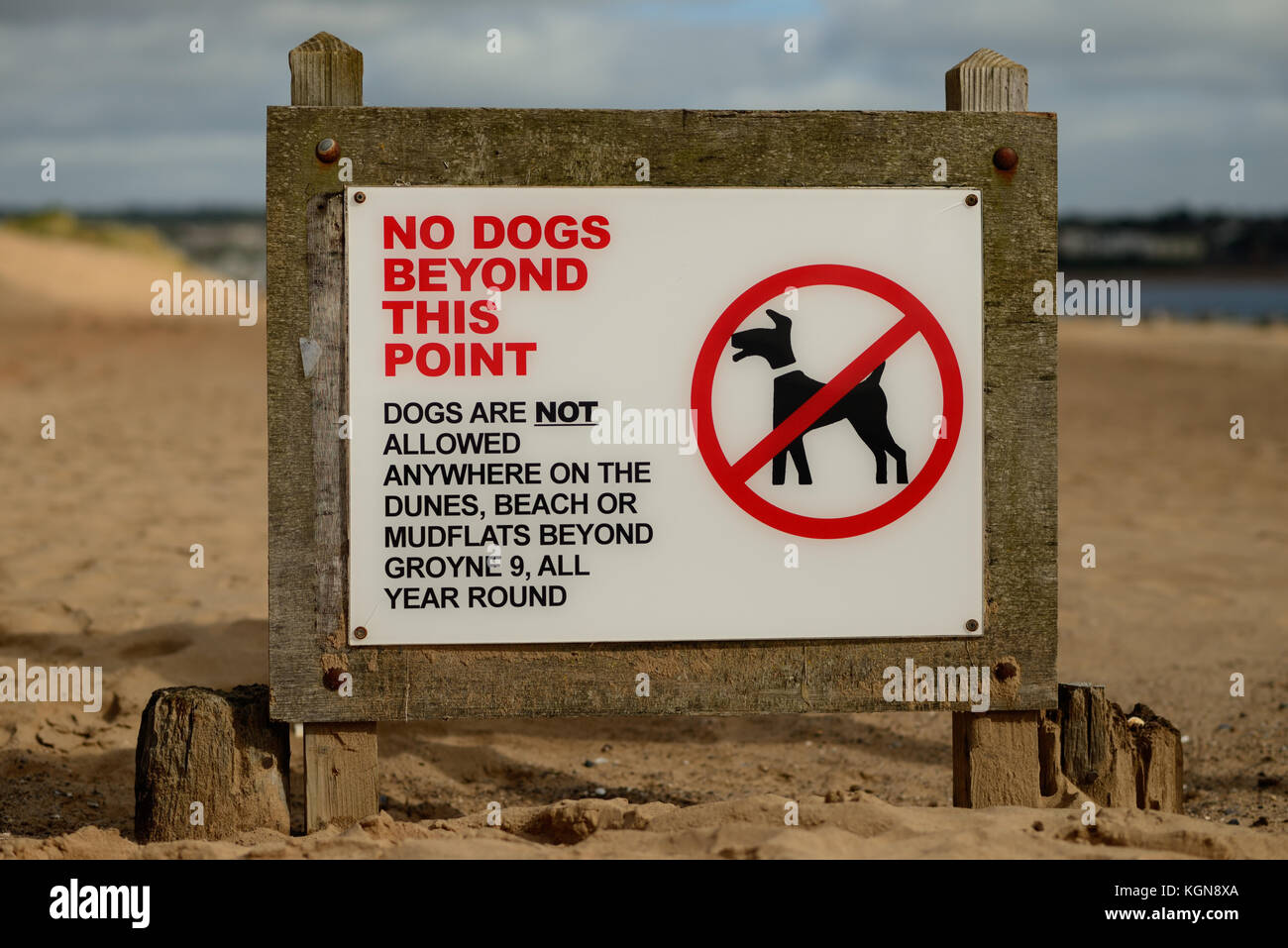 Sign banning dogs from part of the beach Stock Photo Alamy