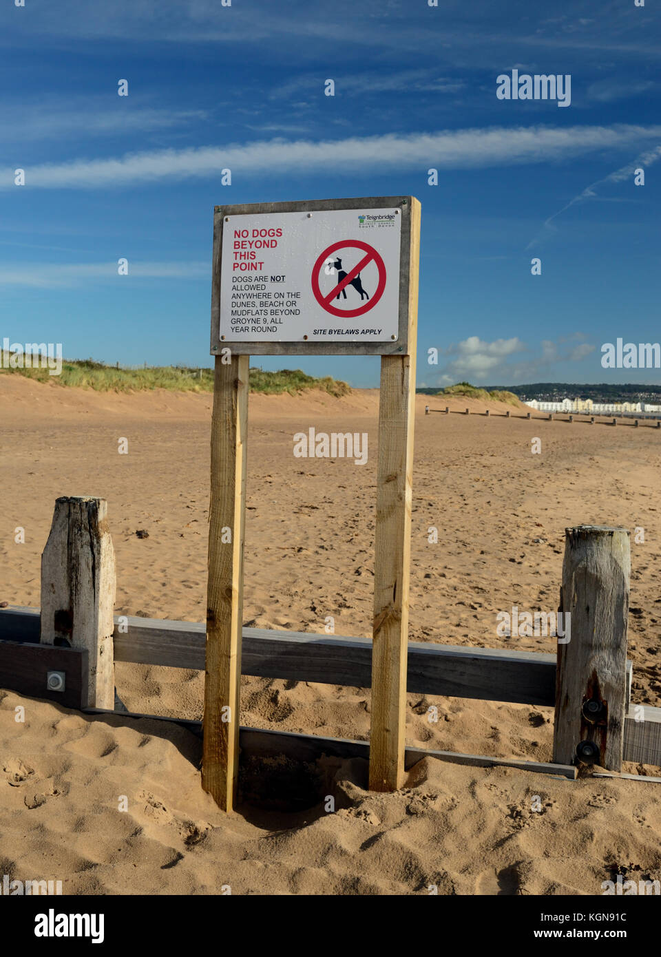 Sign banning dogs from part of the beach Stock Photo Alamy