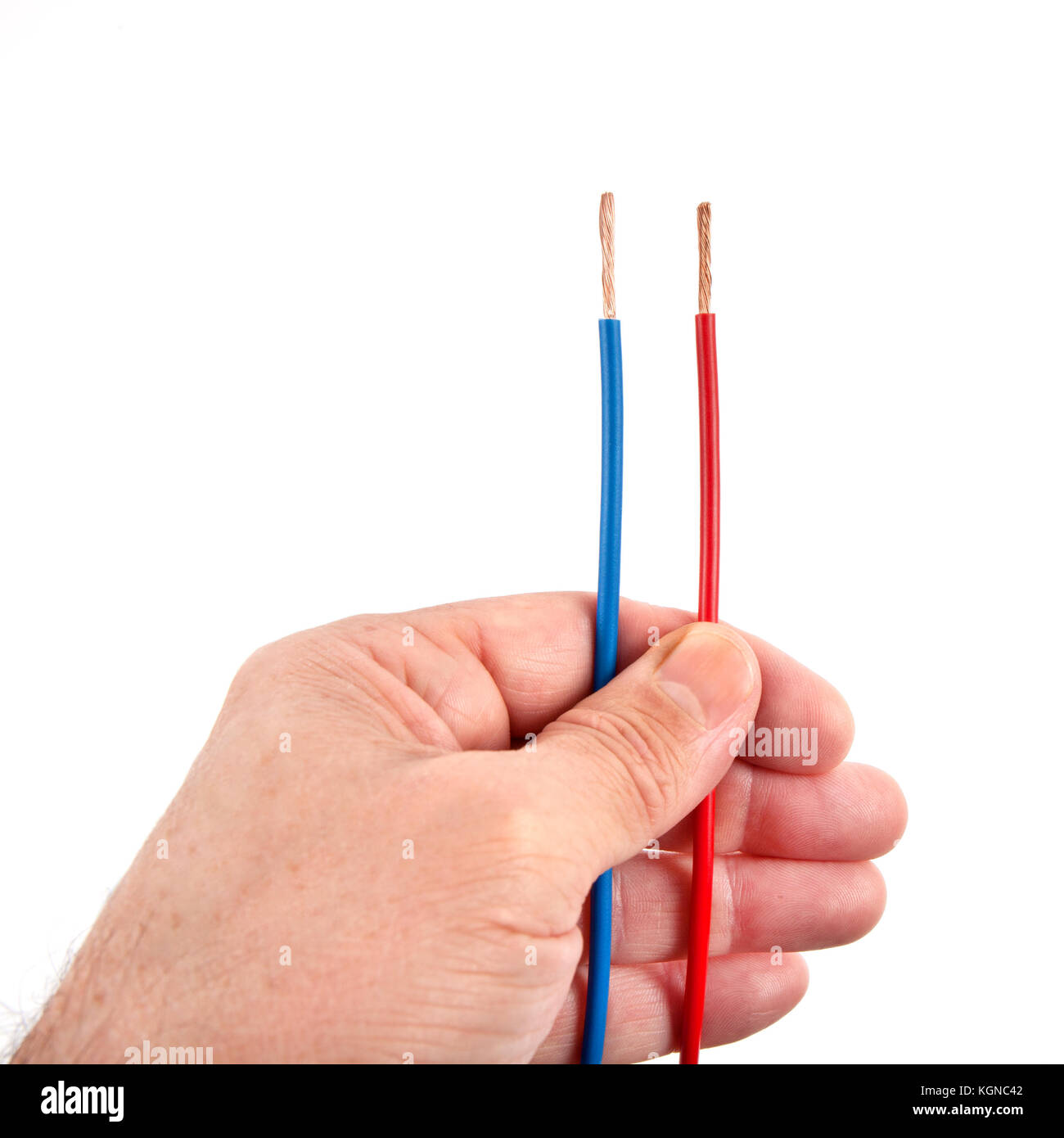 Two parallel wires red and blue in one hand isolated on white Stock