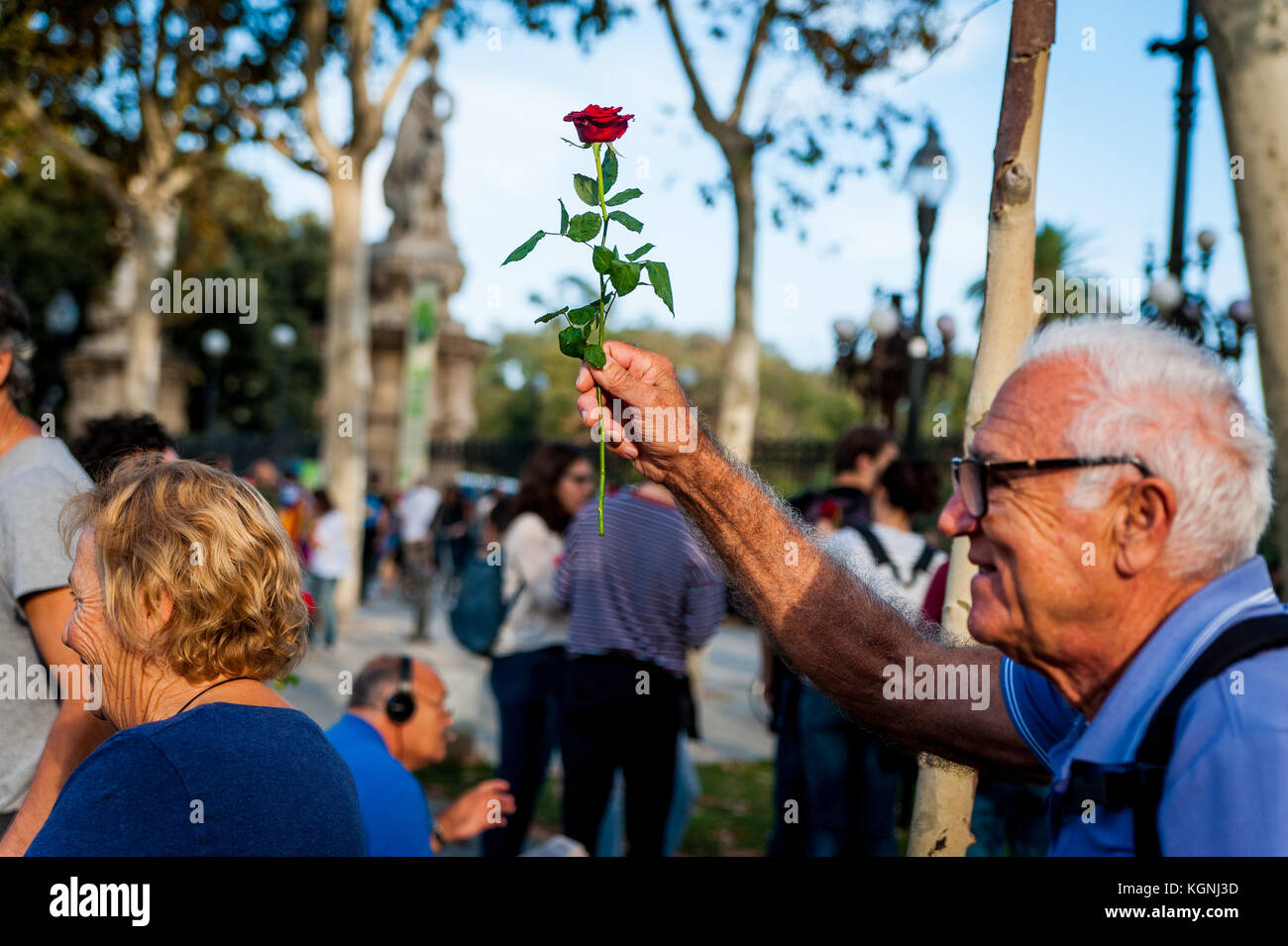 Barcelona, 10 october 2017 - people march in the street of barcelona asking for catalunya's independence holding catalan flags Stock Photo