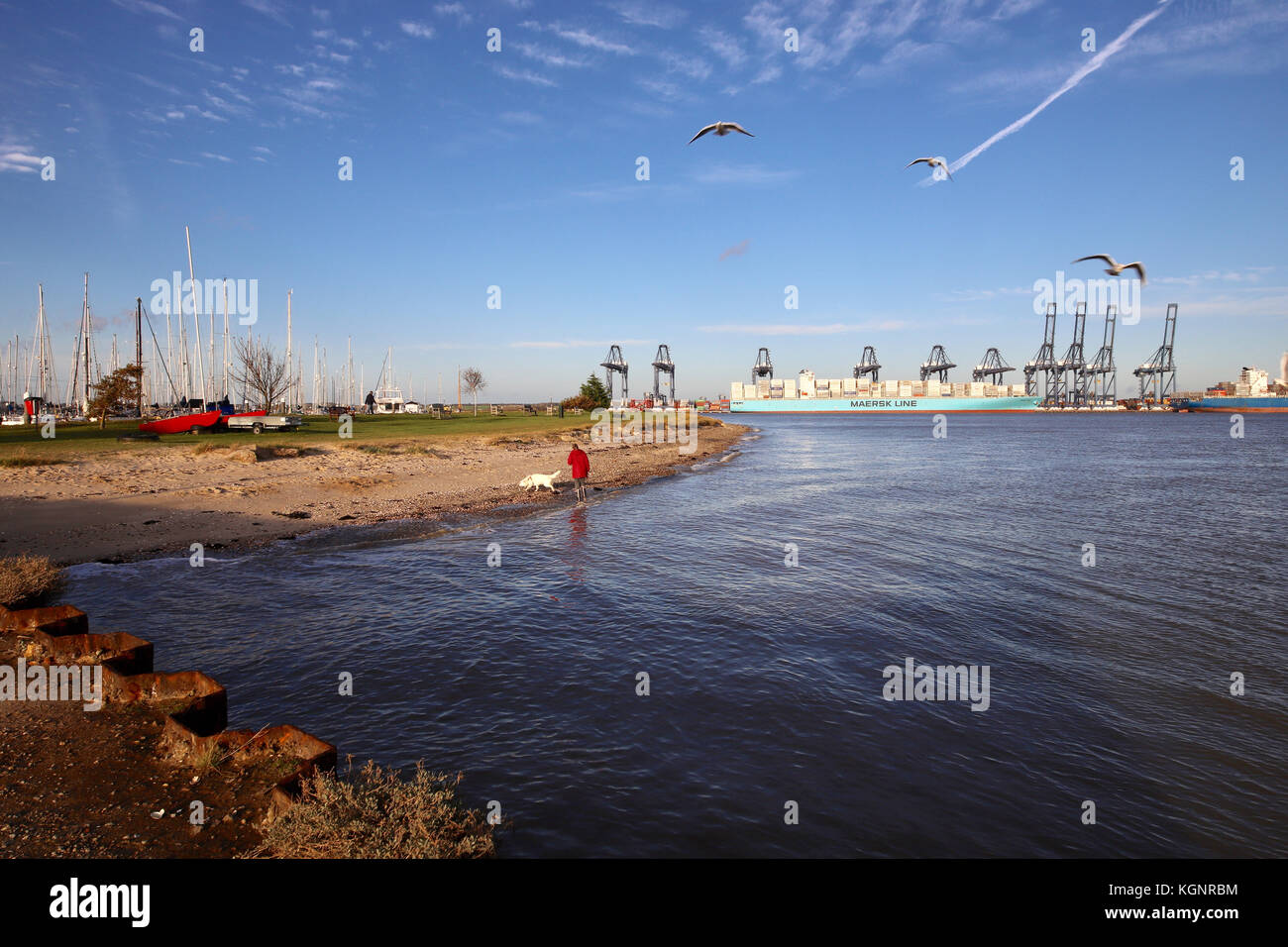 Suffolk. 10th Nov, 2017. UK Weather A bright sunny autumn afternoon