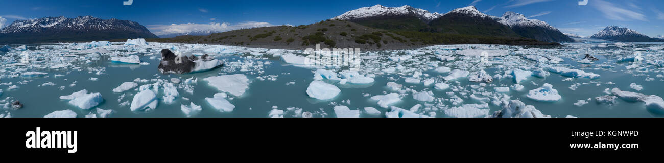Panoramic view of icebergs in lagoon on sunny day, Lake George, Palmer, Alaska, USA Stock Photo
