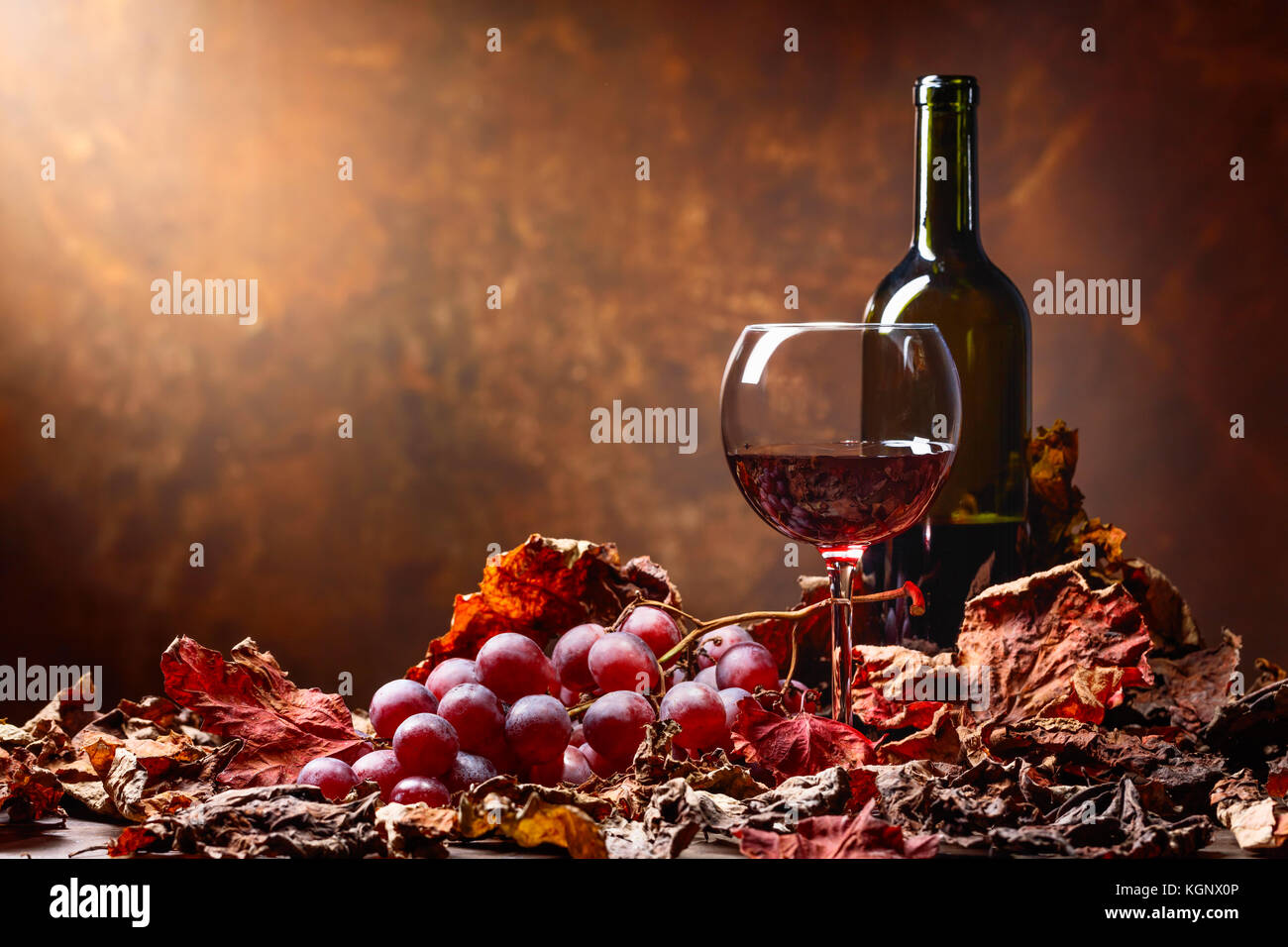 Glass and bottle of red wine on a table with grapes and dried up vine ...