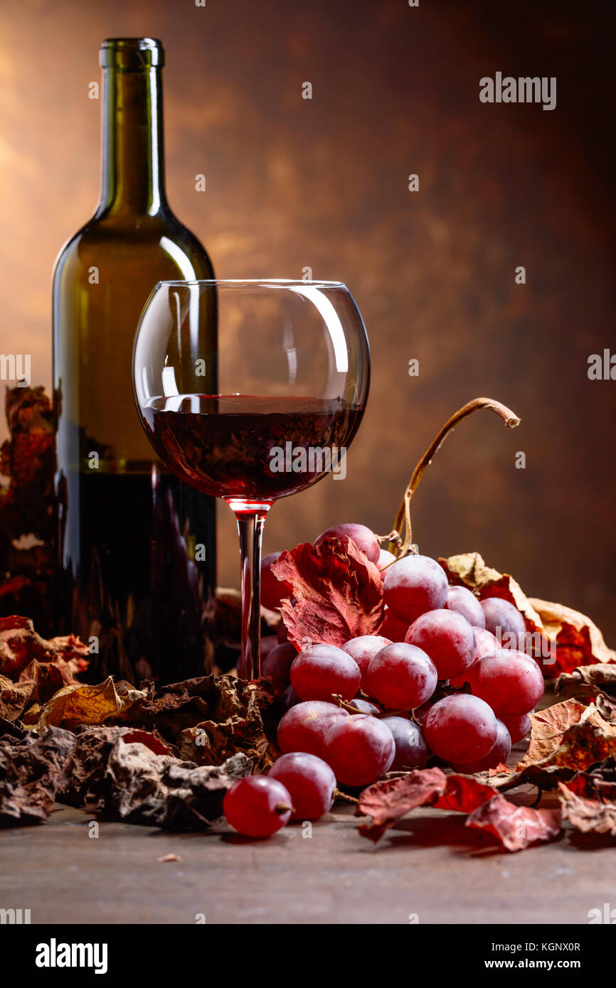 Glass and bottle of red wine on a table with grapes and dried up vine ...