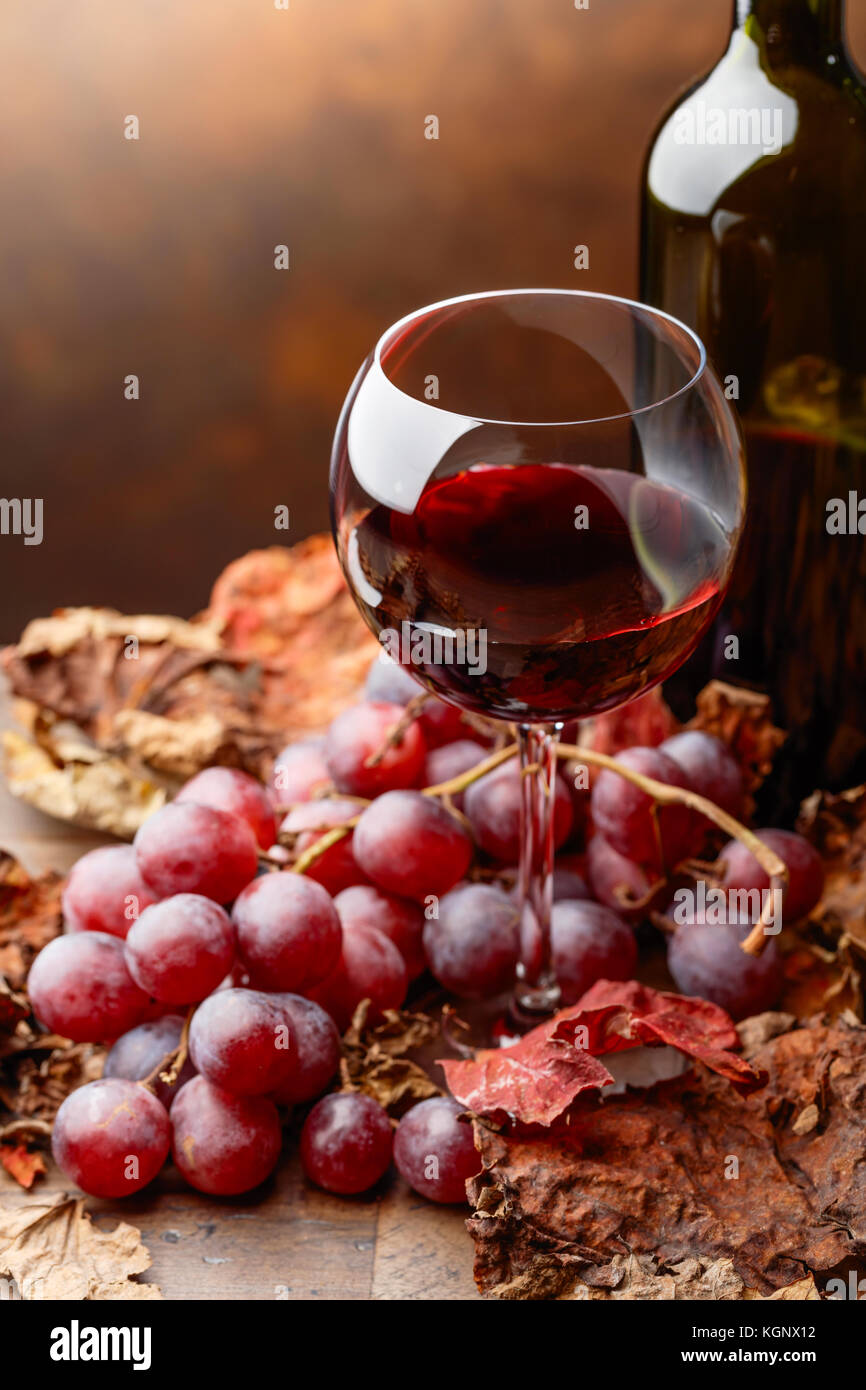 Glass and bottle of red wine on a table with grapes and dried up vine ...