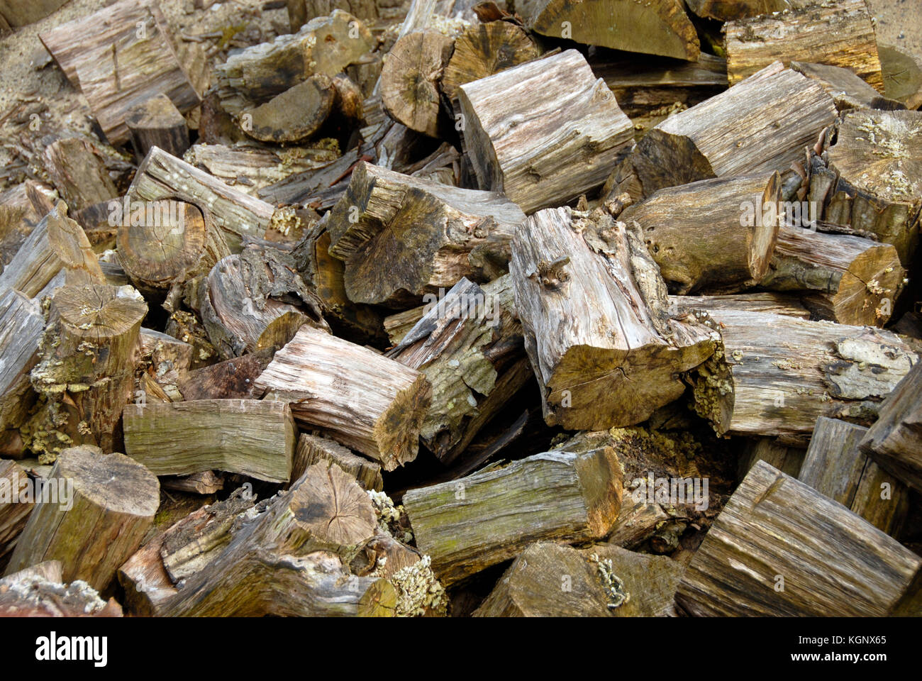 Pile of logs stored ready for burning as fuel Stock Photo Alamy