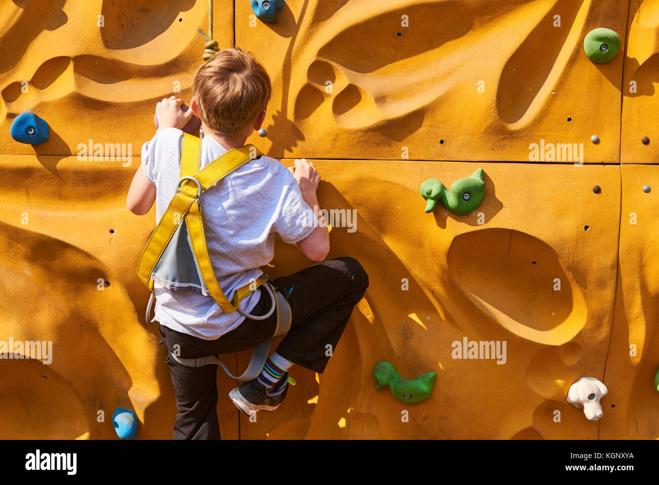 Child climbing a rock wall outdoor bouldering Stock Photo Alamy