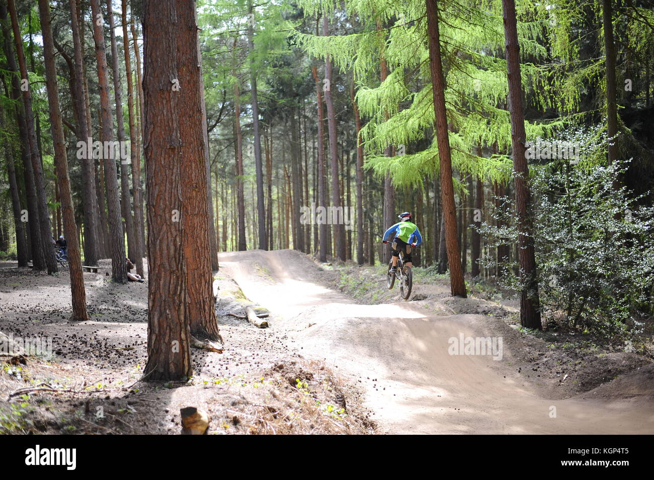 Mountain biking at Chicksands, Bedfordshire. Riders descending down a steep track littered with jumps and berms. Stock Photo