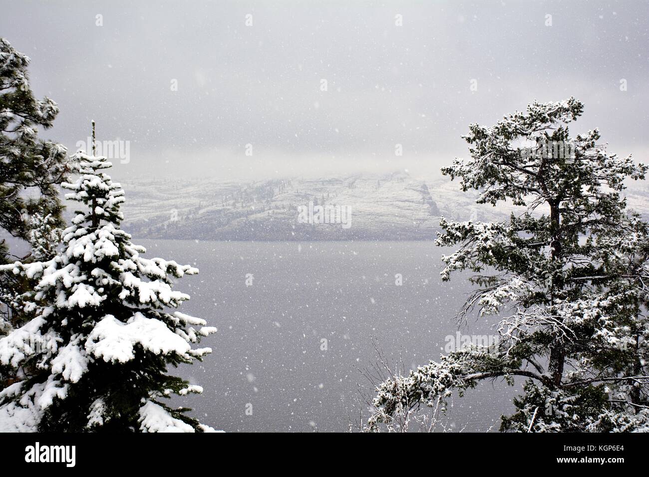 Snowing in Okanagan in November, Peachland, British Columbia Stock Photo