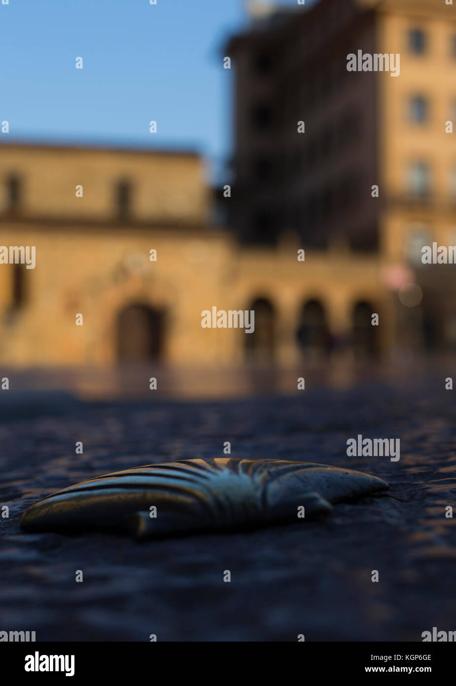 A brass scallop shell along the route of the camino to Santiago de ...