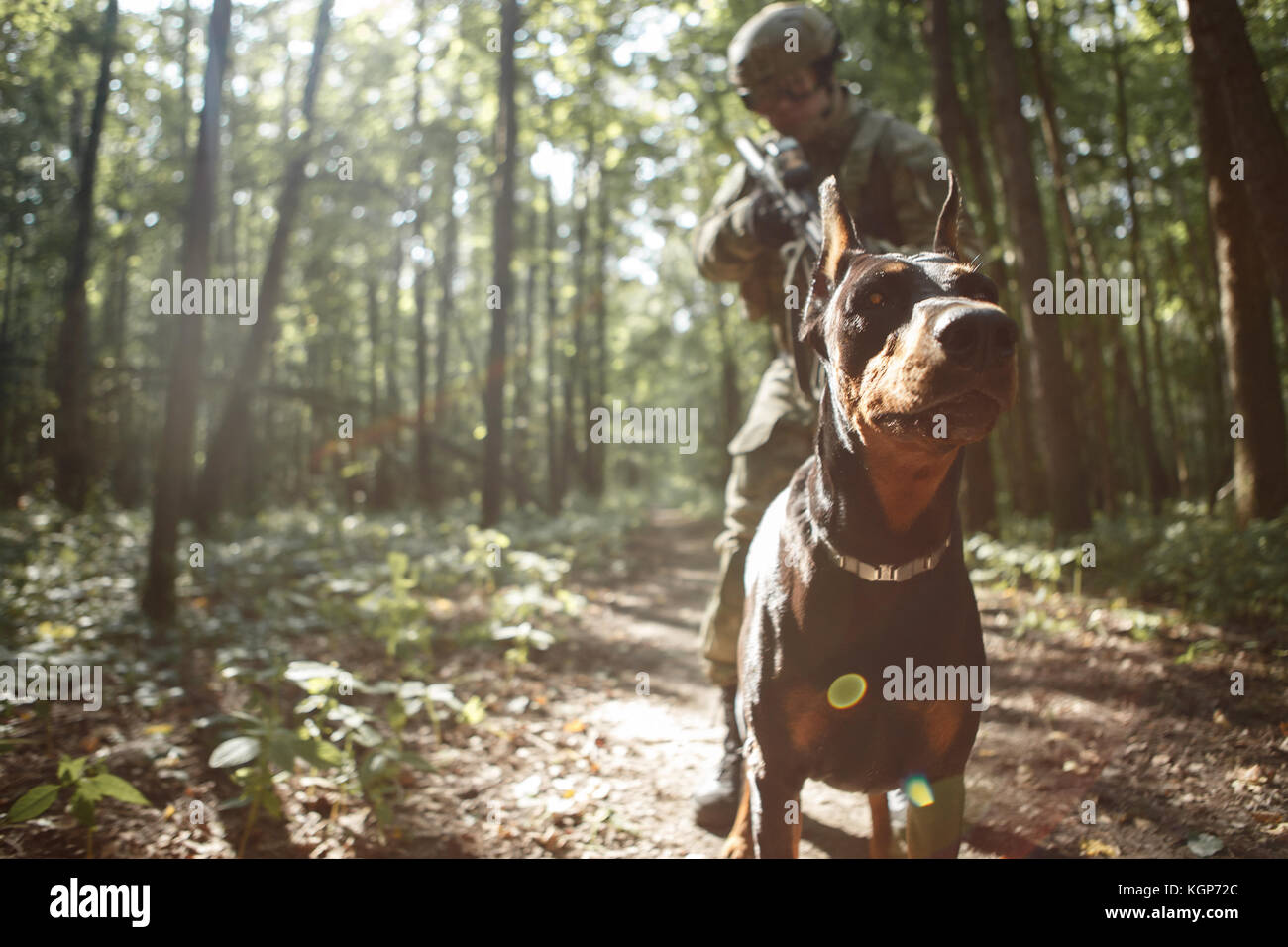 Man in military uniform dog hi-res stock photography and images - Alamy