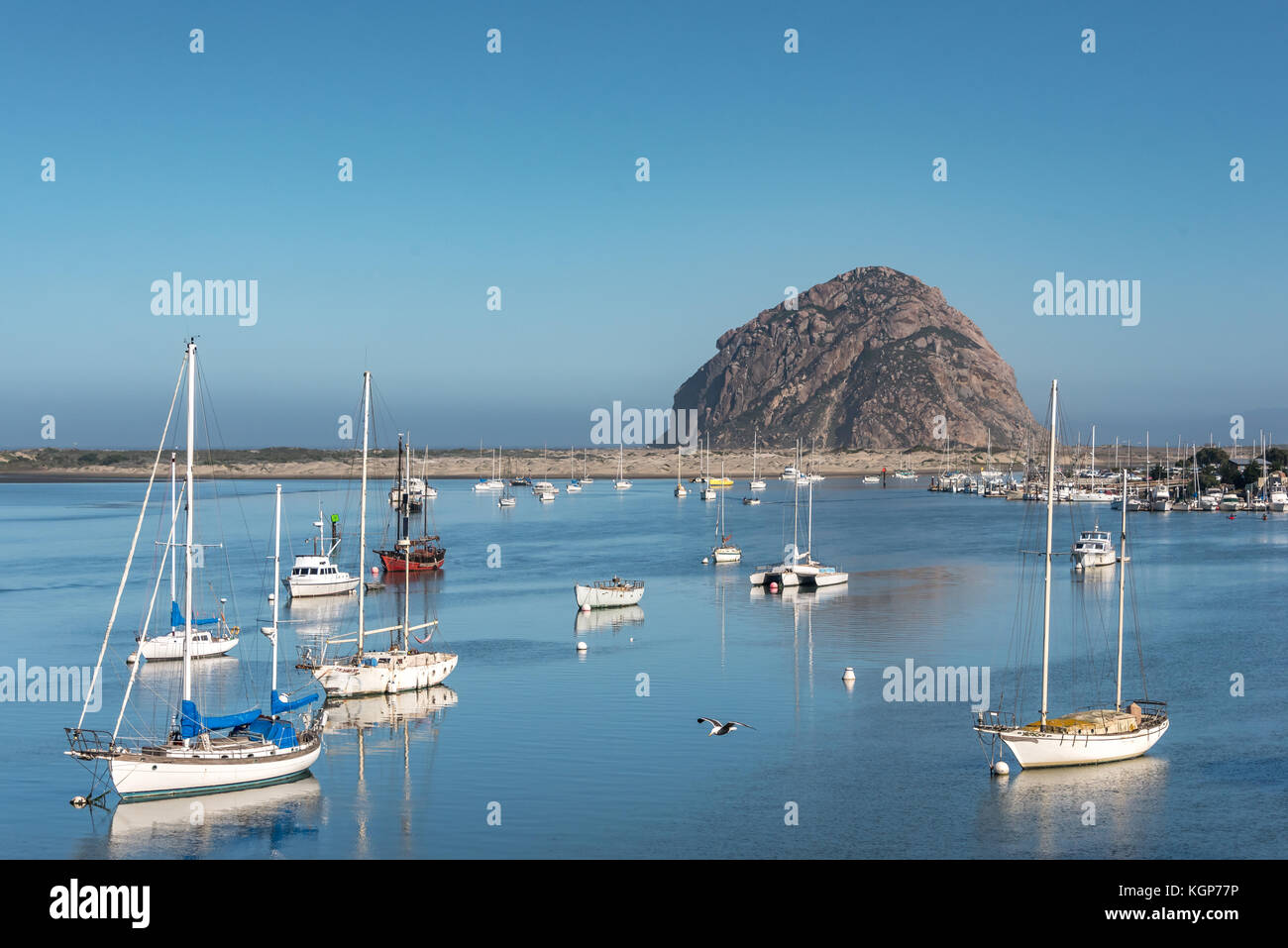 View of Morro Rock across Morro Bay with sail boats anchored in peaceful calm water as a bird flies by on a sunny morning. Stock Photo