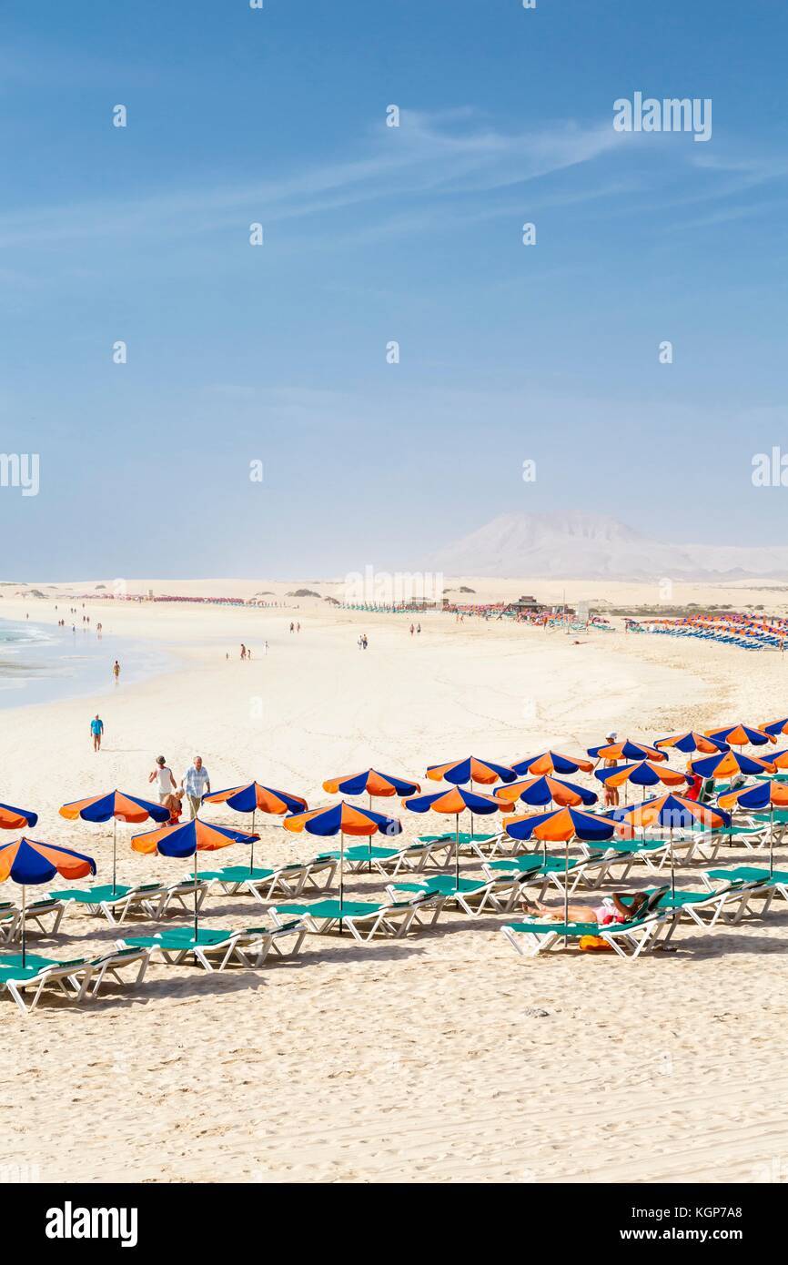 Row of sunbeds and parasols on sandy beach Bajo Negro, Fuerteventura, Canary Islands Stock Photo