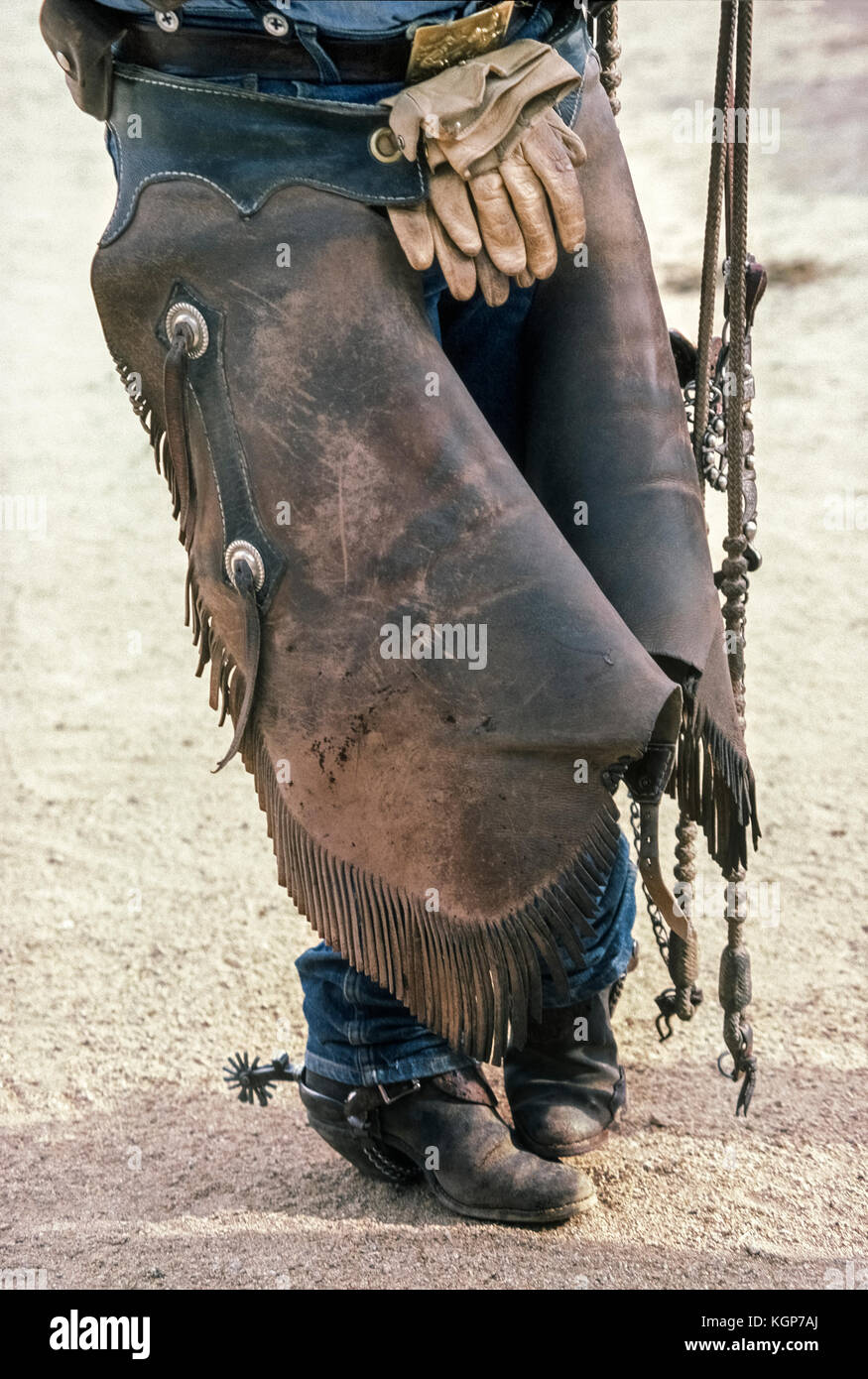 This close-up photo shows the much-used pair of fringed leather chaps worn by an American cowboy in the western state of Arizona, USA. Also part of the veteran wrangler’s wardrobe are a wide belt with a brass buckle, work gloves, blue jeans, leather boots and steel spurs. Dangling at the right is his fancy horse bit and reins. Stock Photo