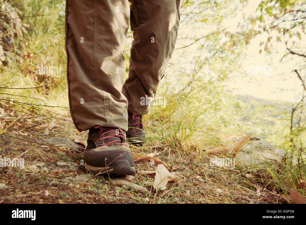 Hiking shoes with red laces and legs wearing long brown trousers of an hiker walking on a path in the wood. Vintage effect Stock Photo