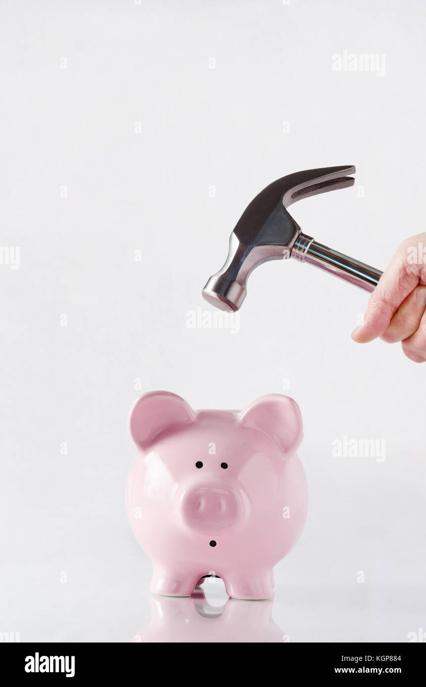 A hand holding a hammer above a pink china piggy bank that has a shocked facial expression, anticipating the smash.  Reflective surface and light grey Stock Photo