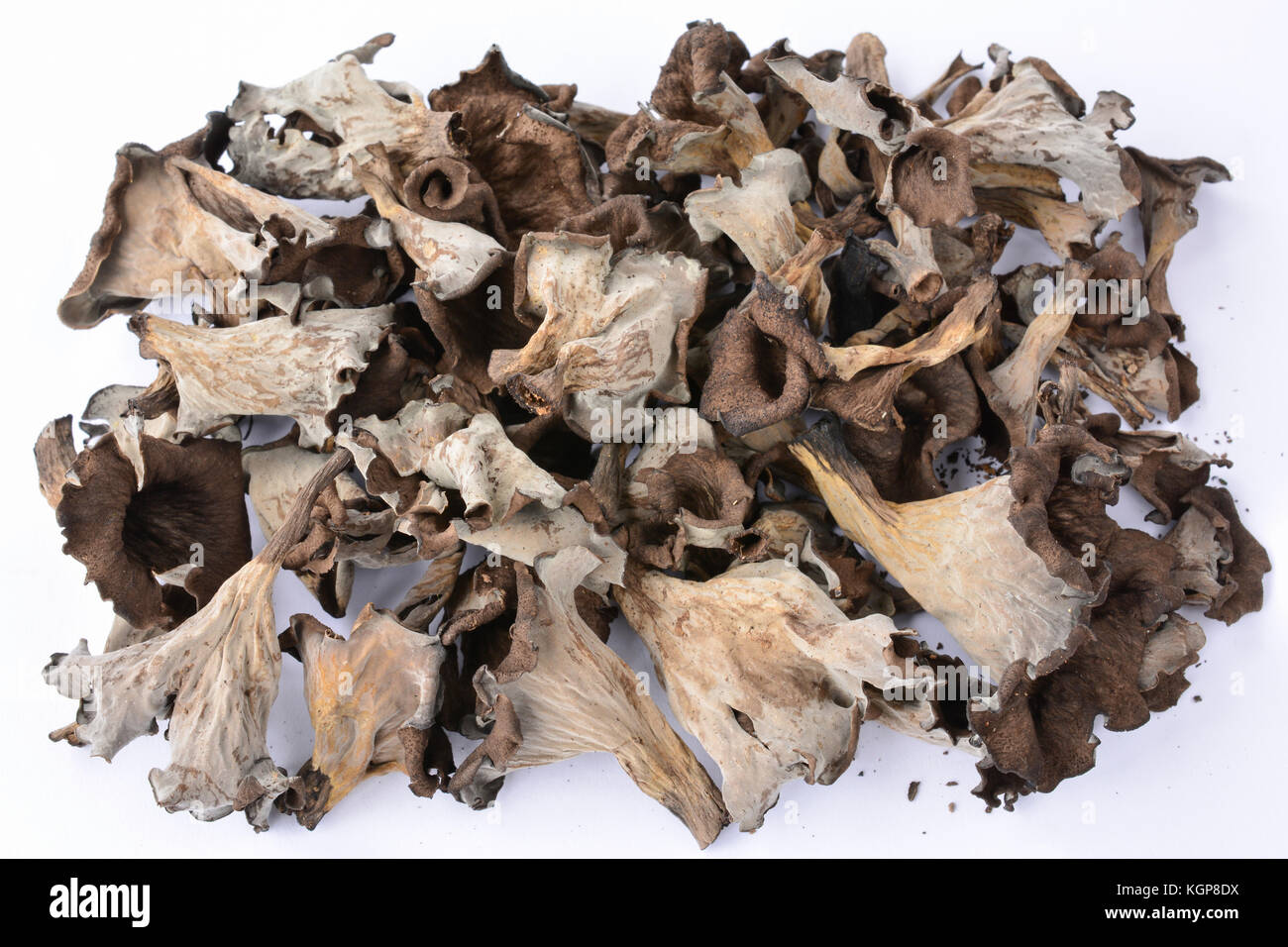 Big pile of dried delicious and spicy Horn of Plenty mushrooms over white background Stock Photo