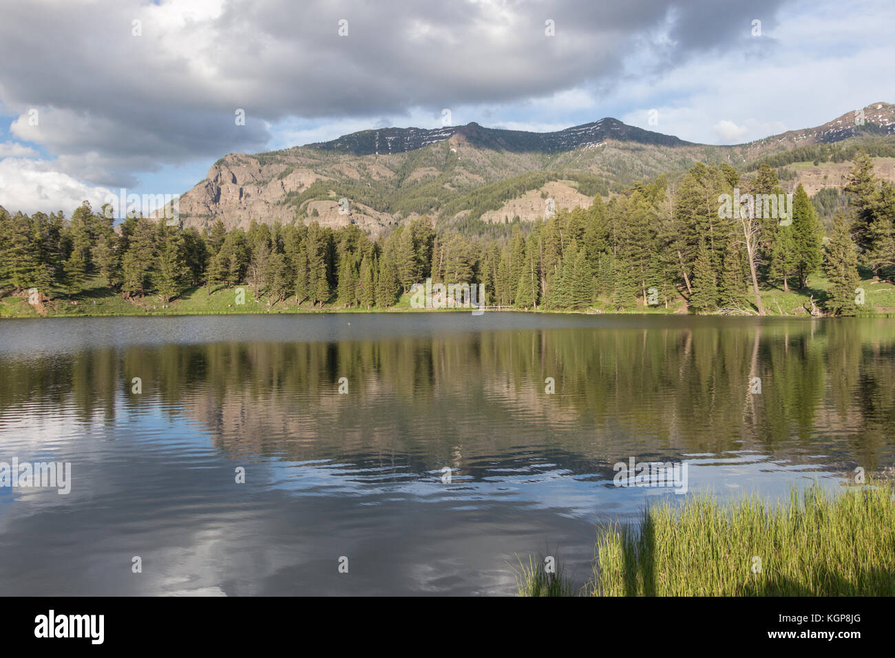 Trout Lake at Yellowstone National Park Stock Photo Alamy