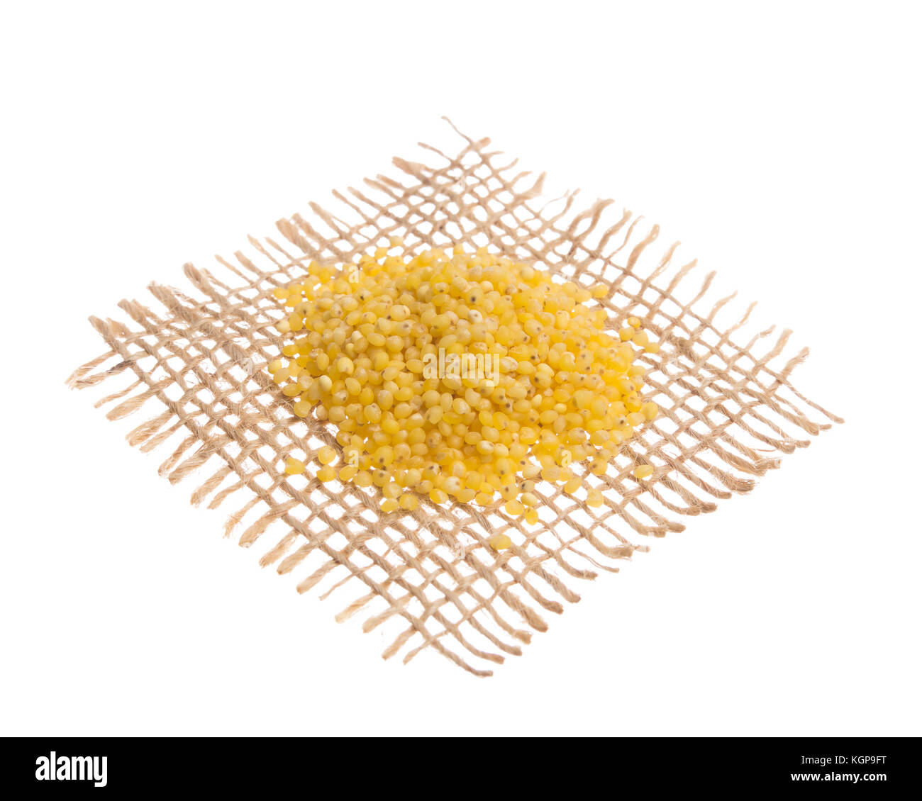 Panicum miliaceum is scientific name of Proso Millet cereal grain. Also