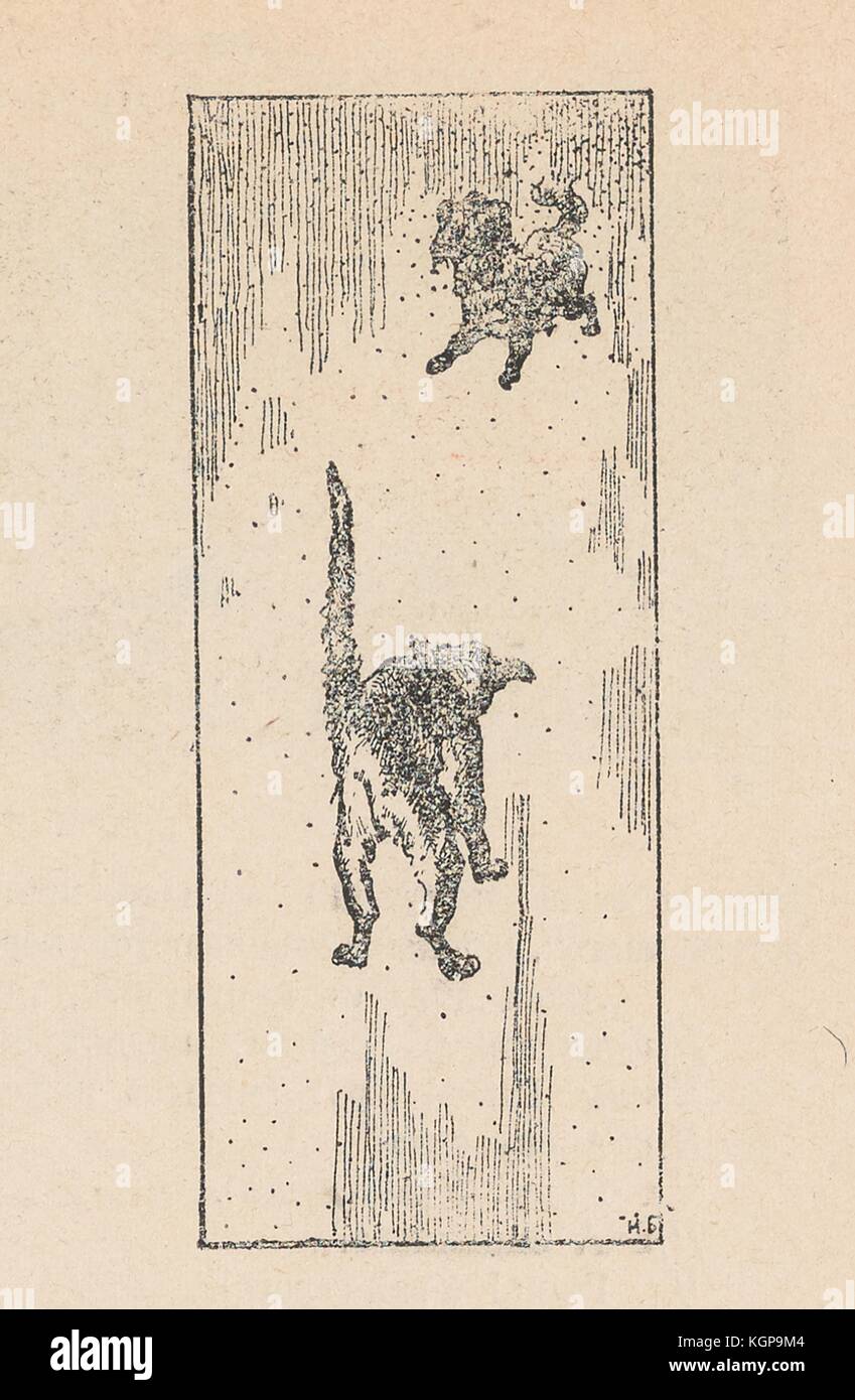 Illustration from the Russian satirical journal Plamia (Flame) depicting two creatures: a cat with its back arched, and another four legged creature, possibly a dog, facing one another ready to attack, 1905. () Stock Photo