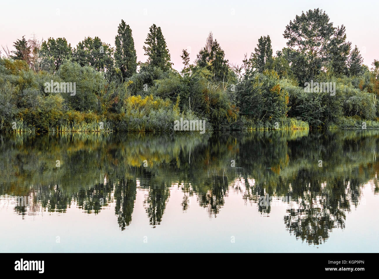 Photo of Trout Lake Park in Vancouver, Canada Stock Photo Alamy