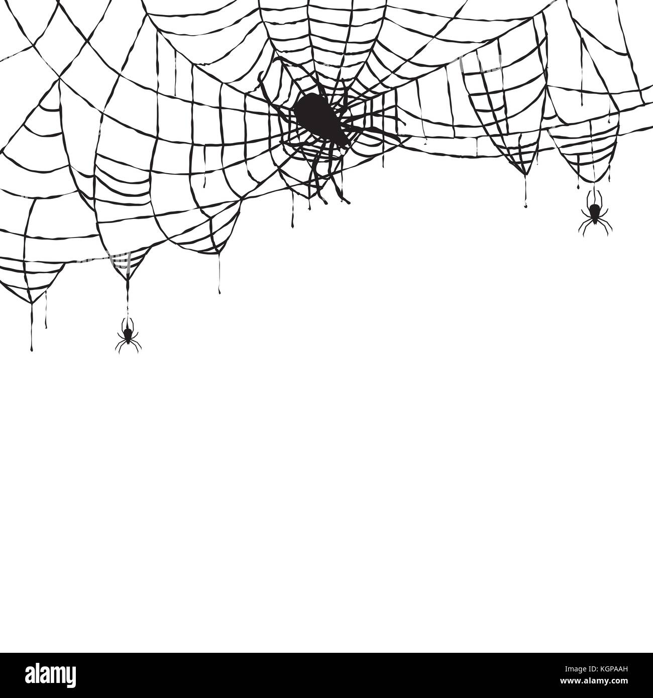 Spider and Web Isolated on White Background. Vector Illustration. Stock Vector