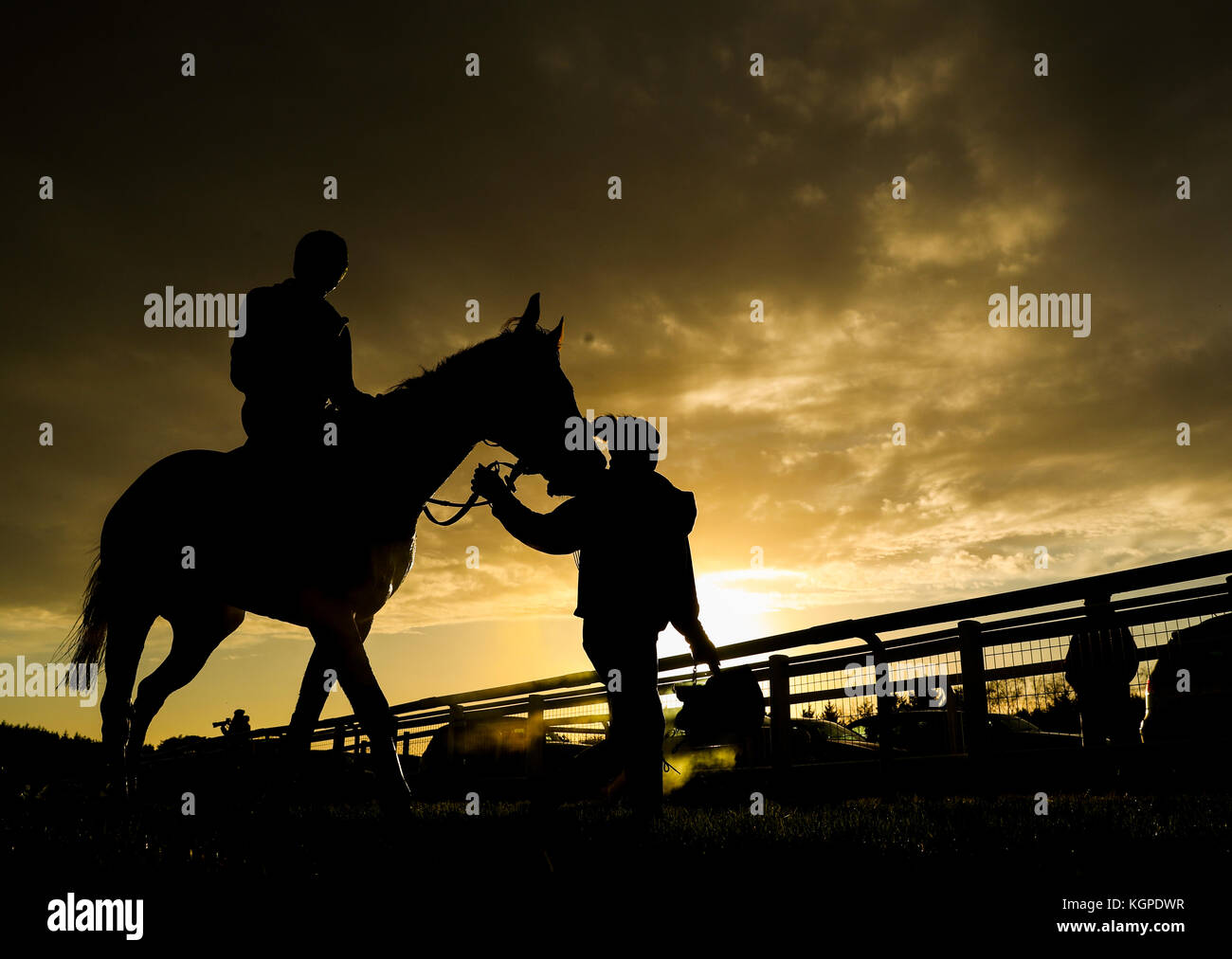 Horses make their way back in during 188 Bet Haldon Gold Cup Day at ...