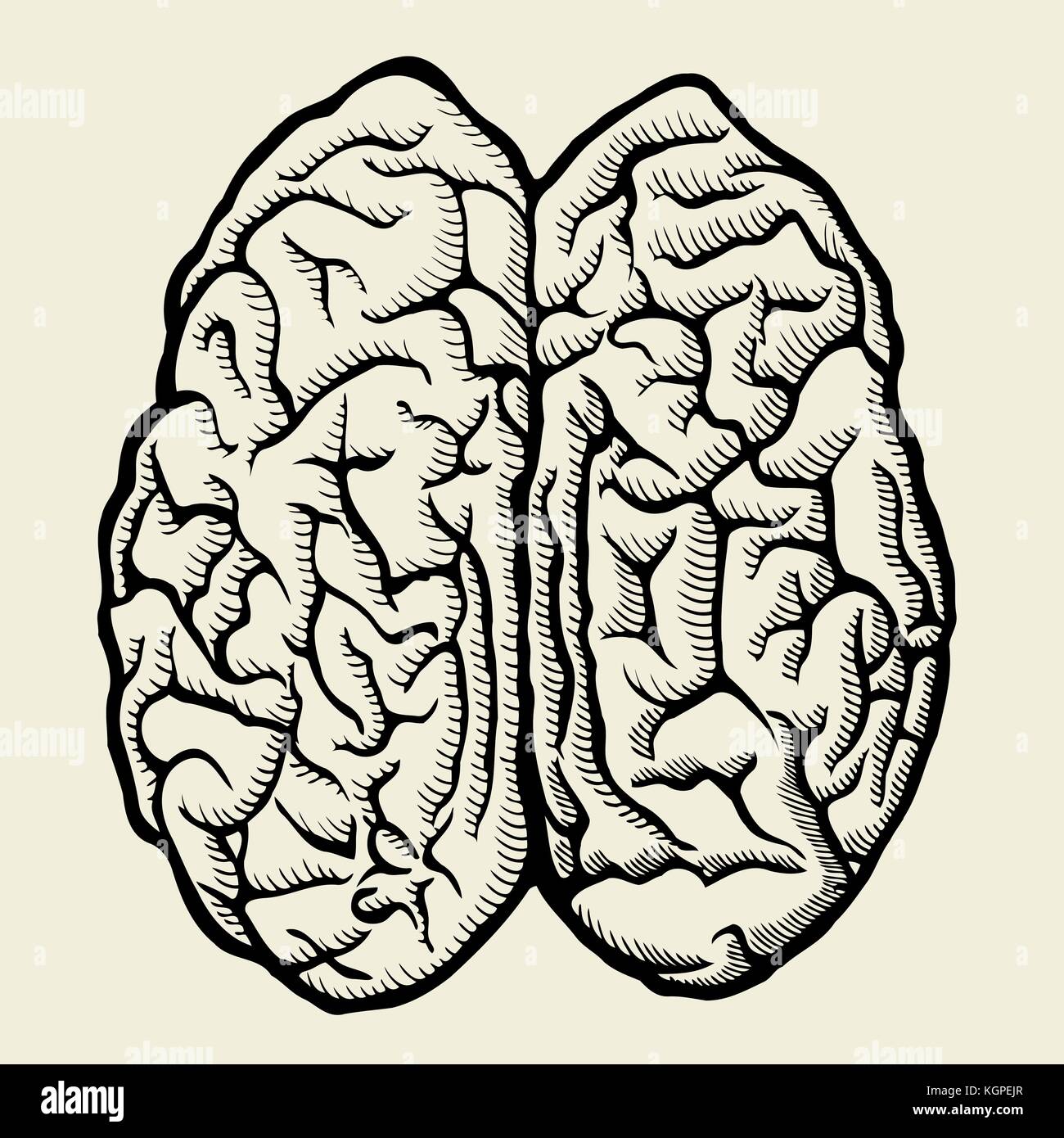 Creative left right brain sign hi-res stock photography and images - Alamy