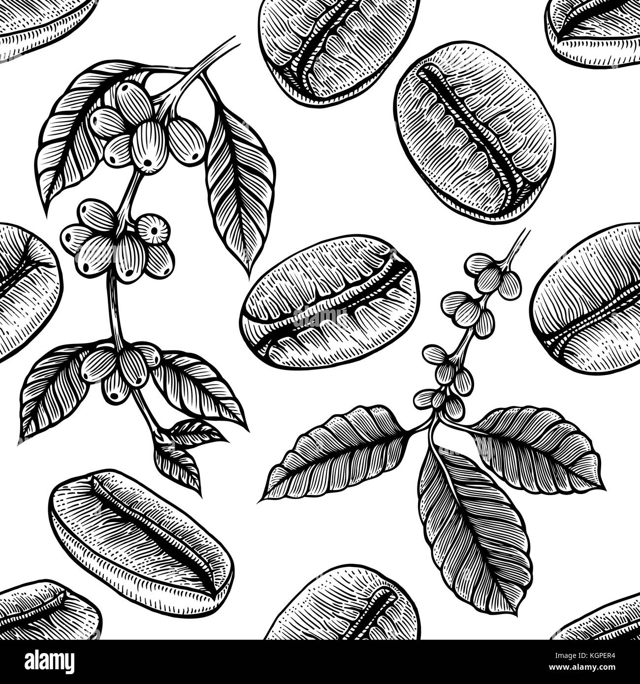 Seamless background with branch of coffee and beans. Hand drawn ...