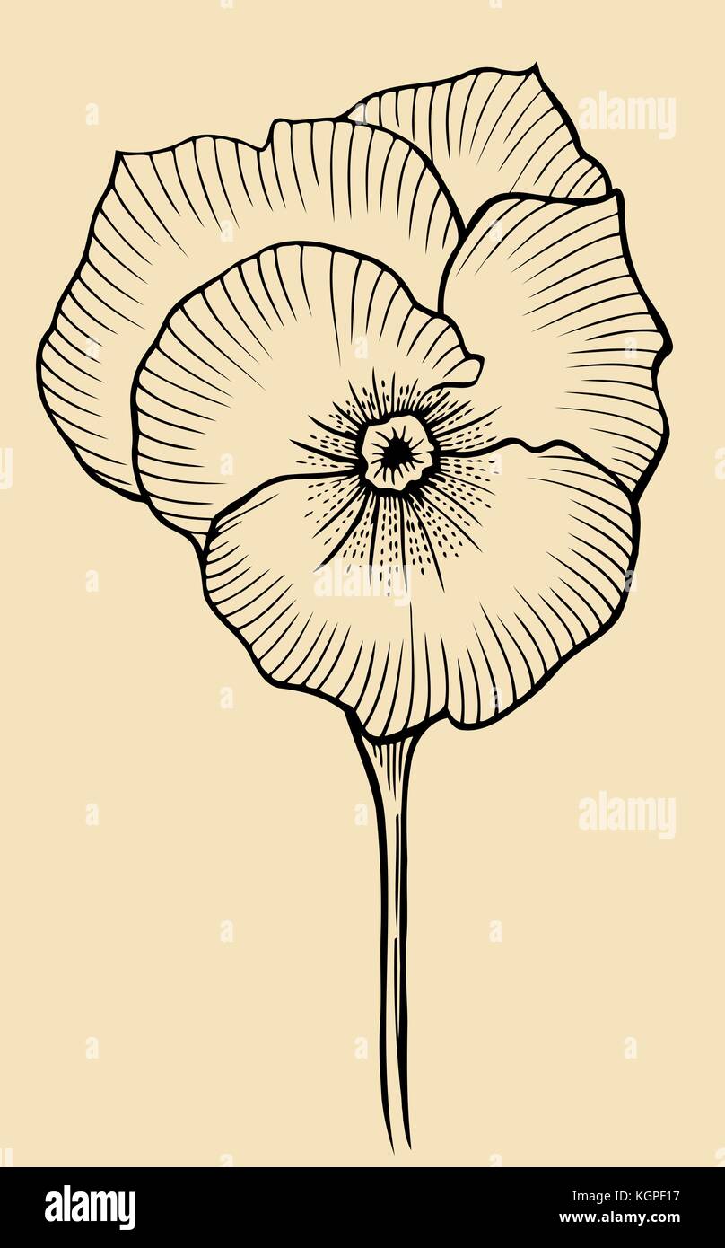 Vintage flower. Black and beige illustration in the style of engravings. Stock Vector