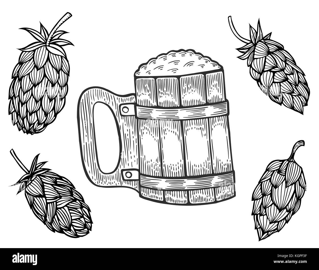 engraving beer mug and hops. Vector illustration, isolated on white Stock Vector