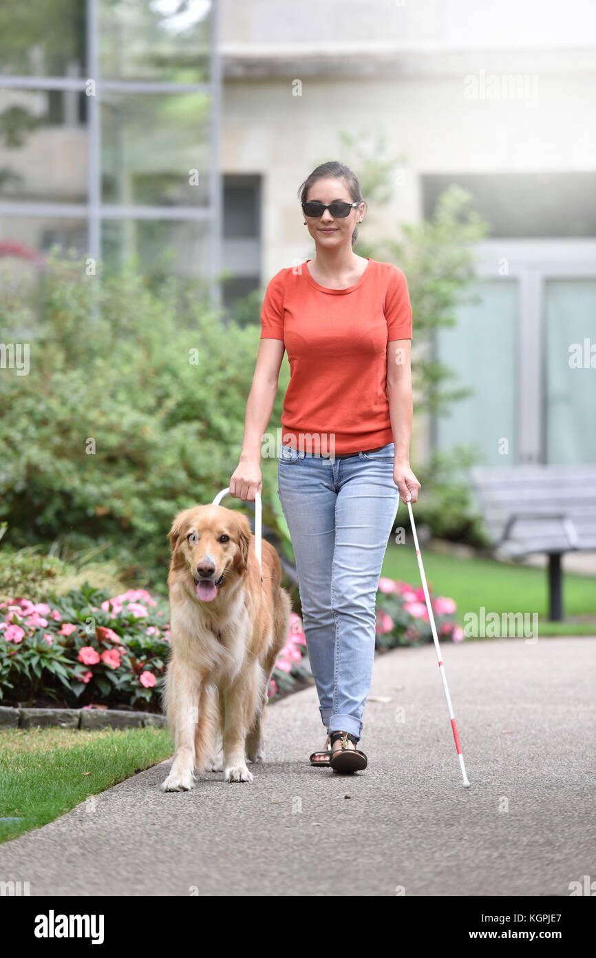 Blind woman walking in park with dog assitance Stock Photo - Alamy