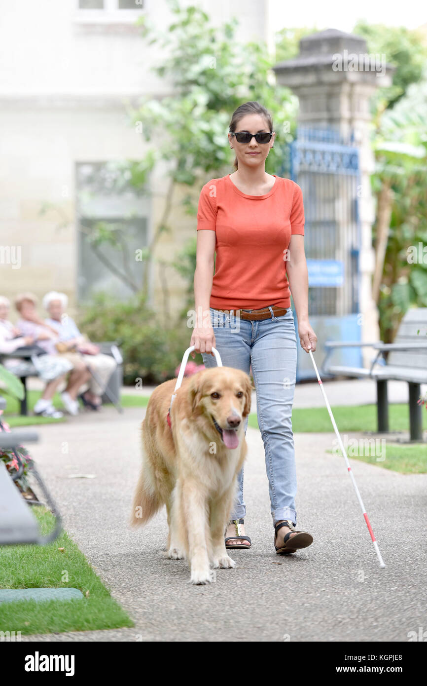 Blind woman walking in park with dog assitance Stock Photo - Alamy