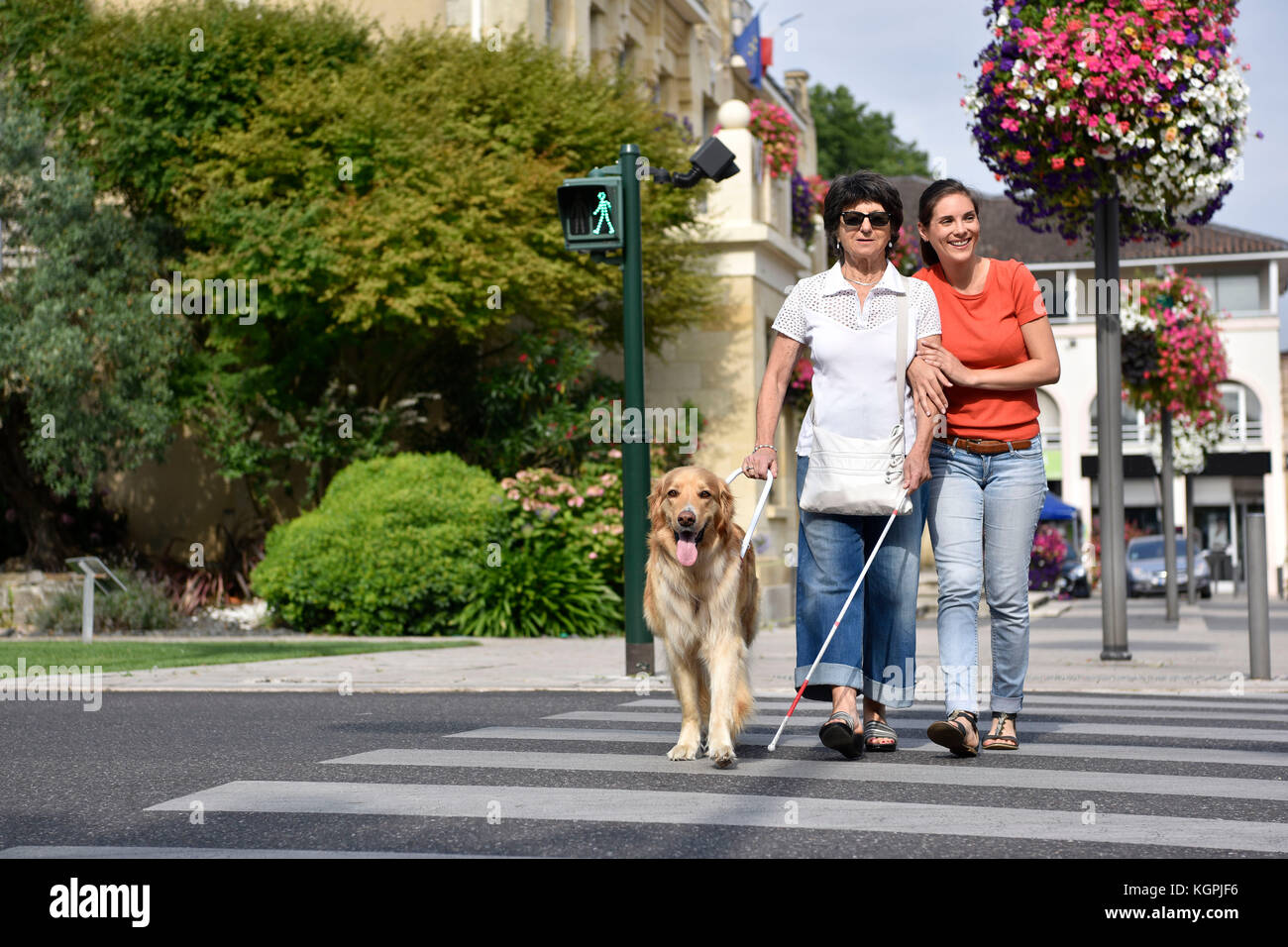 Senior blind woman crossing the street with assistance Stock Photo - Alamy
