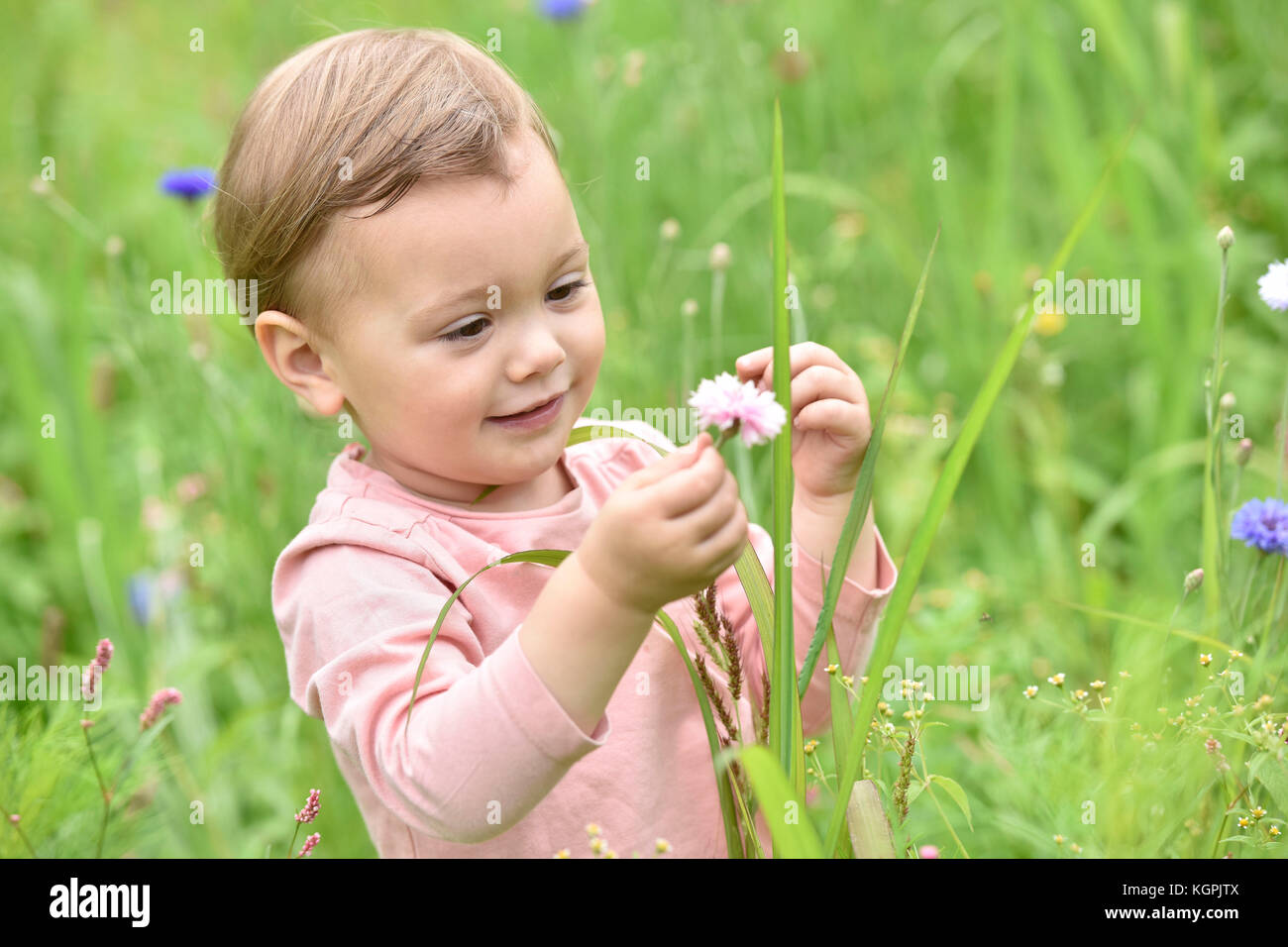 cute-2-year-old-girl-playing-in-wild-flower-field-stock-photo-alamy