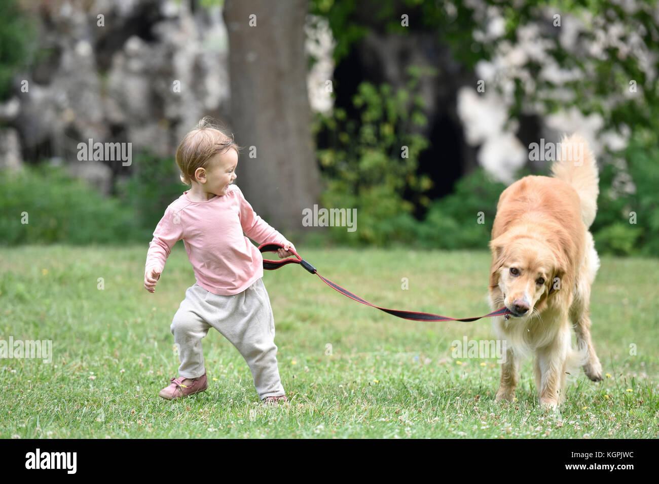 Little girl golden retriever hires stock photography and images Alamy