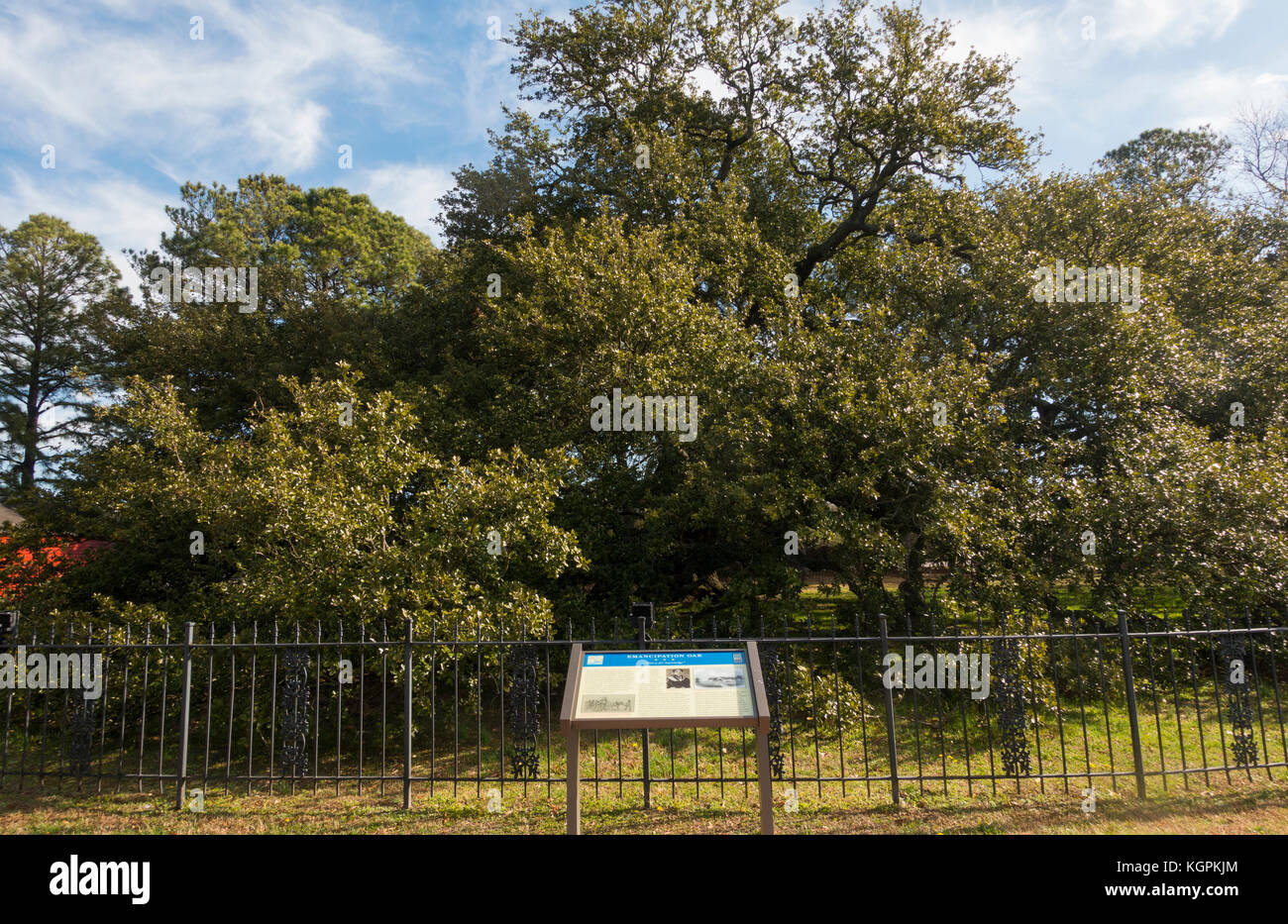 Emancipation Oak tree at Hampton University Virginia Stock Photo