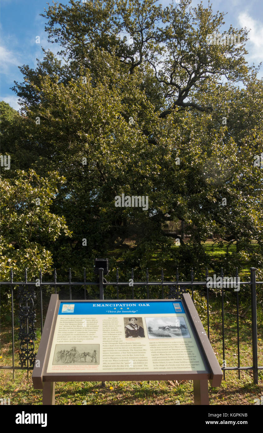 Emancipation Oak tree at Hampton University Virginia Stock Photo