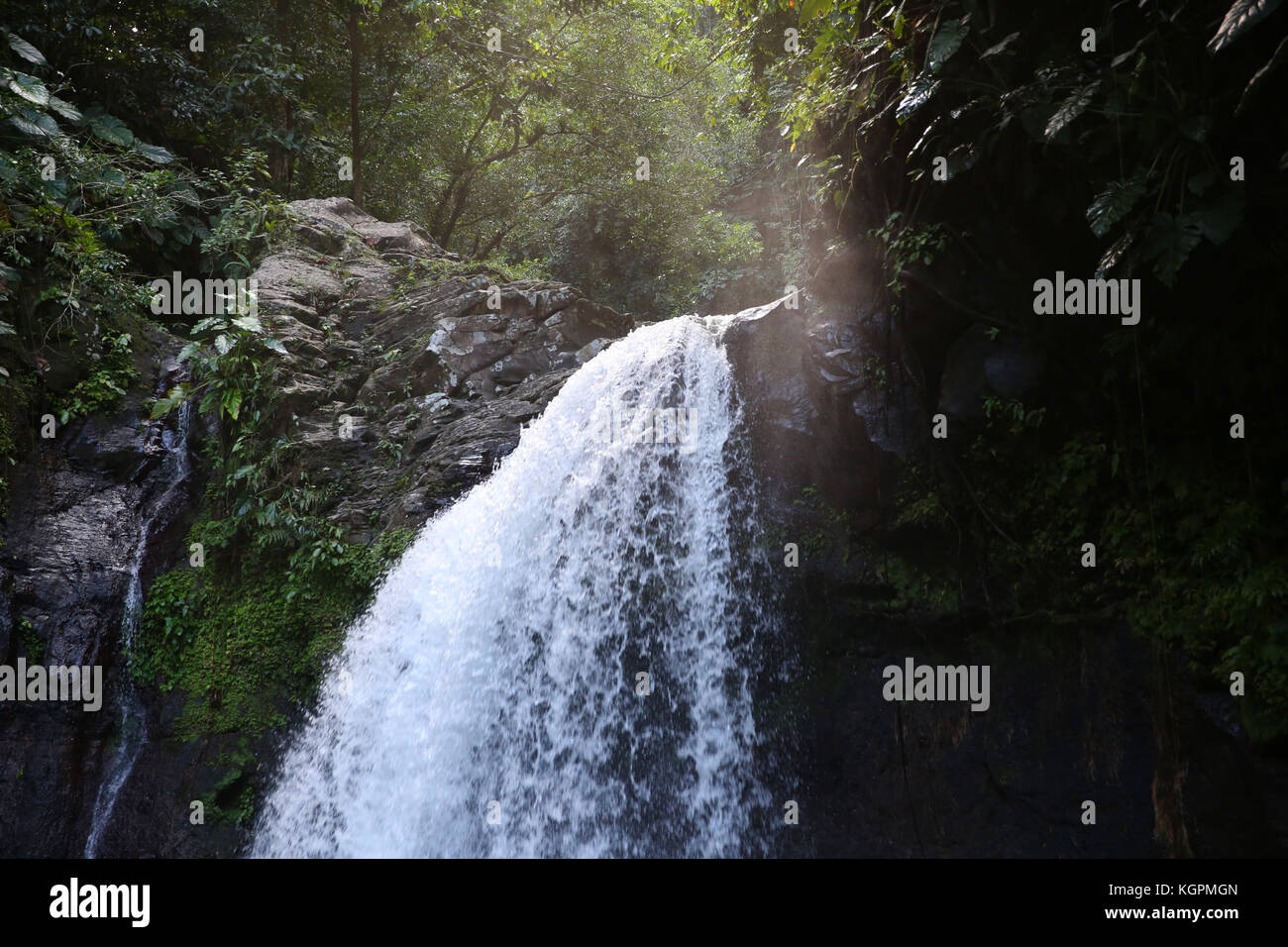 Saut de la Lezarde waterfalls in French west indies Island Stock Photo