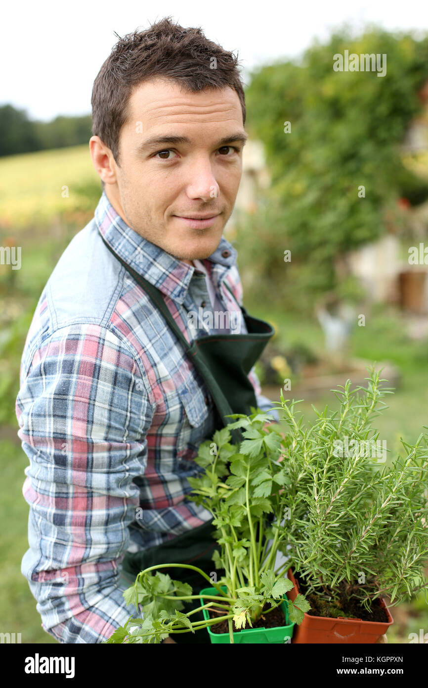 Man in vegetable garden planting aromatic herbs Stock Photo Alamy