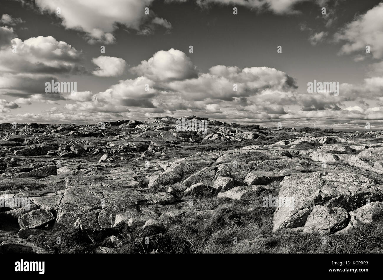 Wet and rocky heathland in a natural preserve near Varberg, Halland County, Sweden. Stock Photo